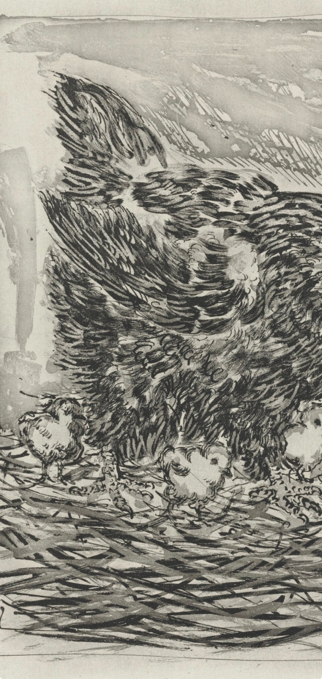 Pablo Picasso, La Mère poule, Histoire naturelle, Limited Edition Lithograph