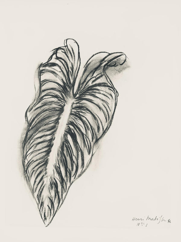 Henri Matisse, Série N Gc'S, var. 1 (Duthuit 9), Henri Matisse, Dessins, Thèmes et variations, Limited Edition Lithograph