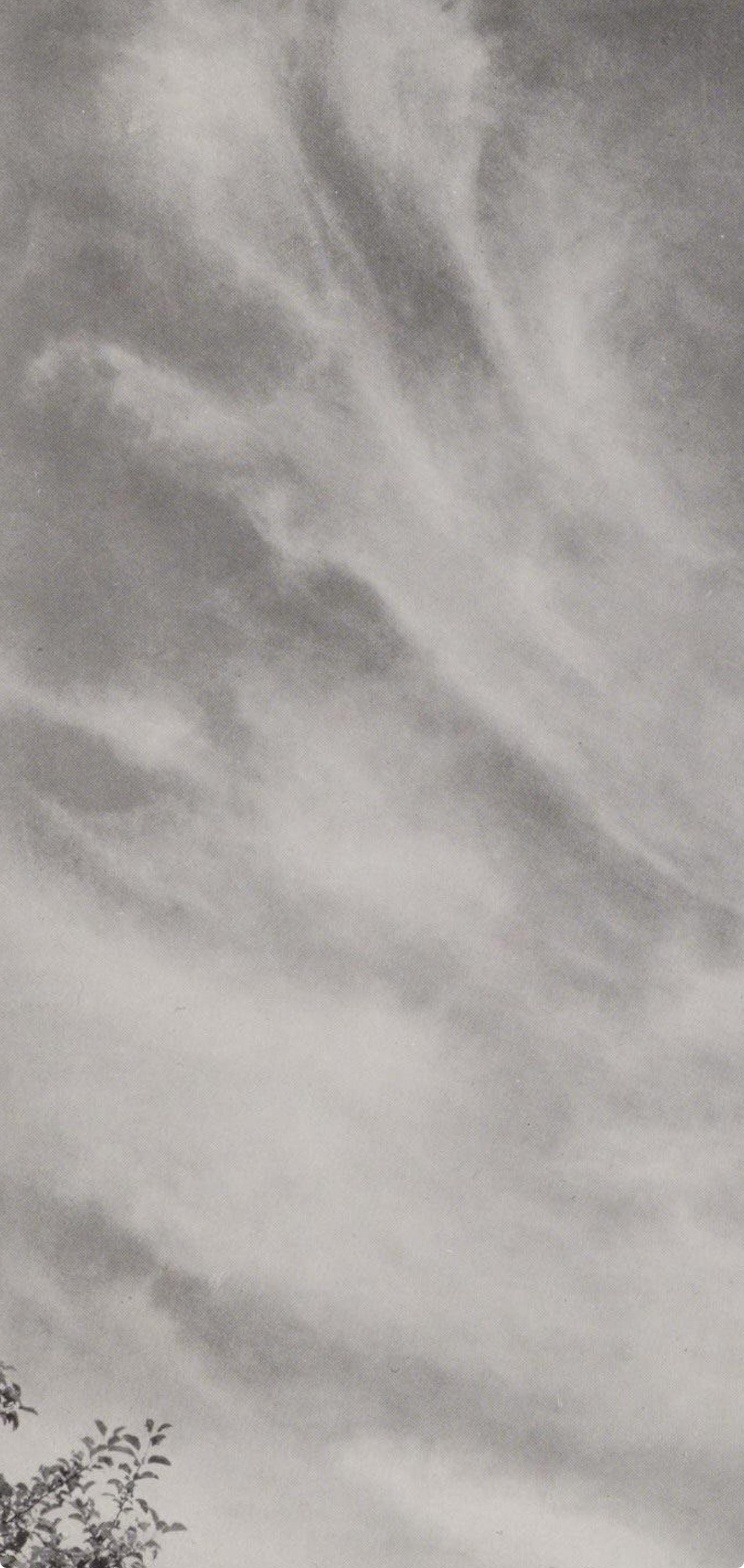 Alfred Stieglitz,  Equivalent 27C, Alfred Stieglitz Memorial Portfolio 1864-1946, Limited Edition Halftone Photograph