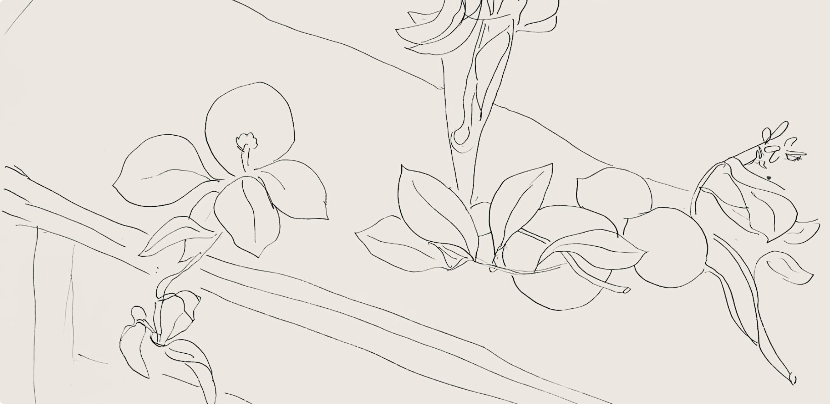 Henri Matisse, Série M, var. 2 (Duthuit 9), Henri Matisse, Dessins, Thèmes et variations, Limited Edition Lithograph