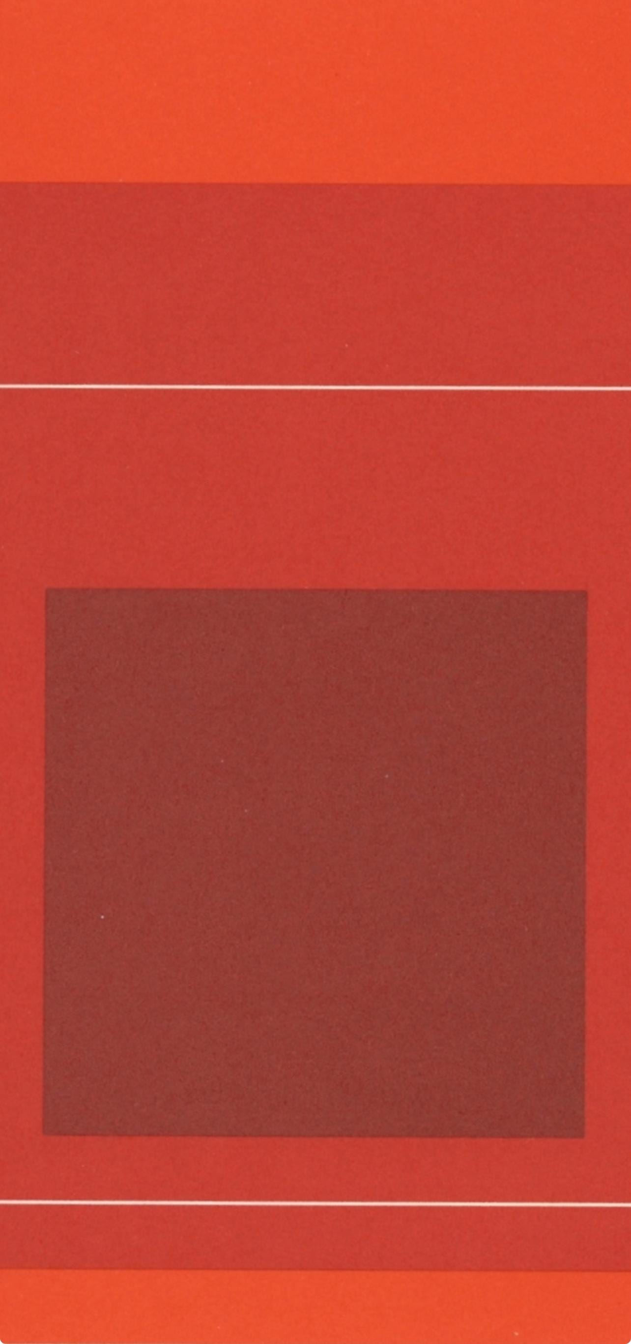 Josef Albers, Homage to the Square, Josef Albers: White Line Squares, Limited Edition Lithograph
