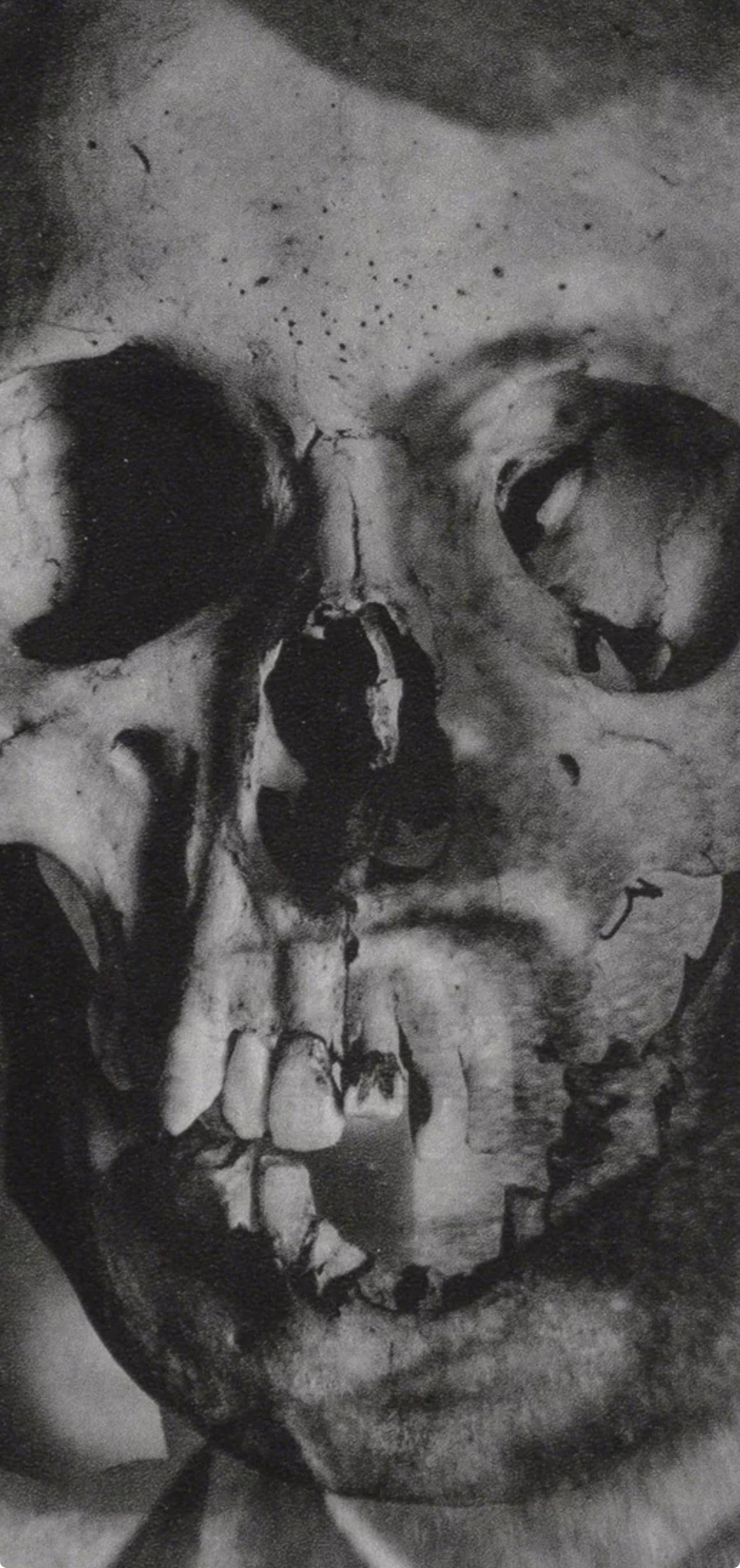 Erwin Blumenfeld, Composition, Erwin Blumenfeld, Electa Editrice Portfolios, Limited Edition Héliogravure