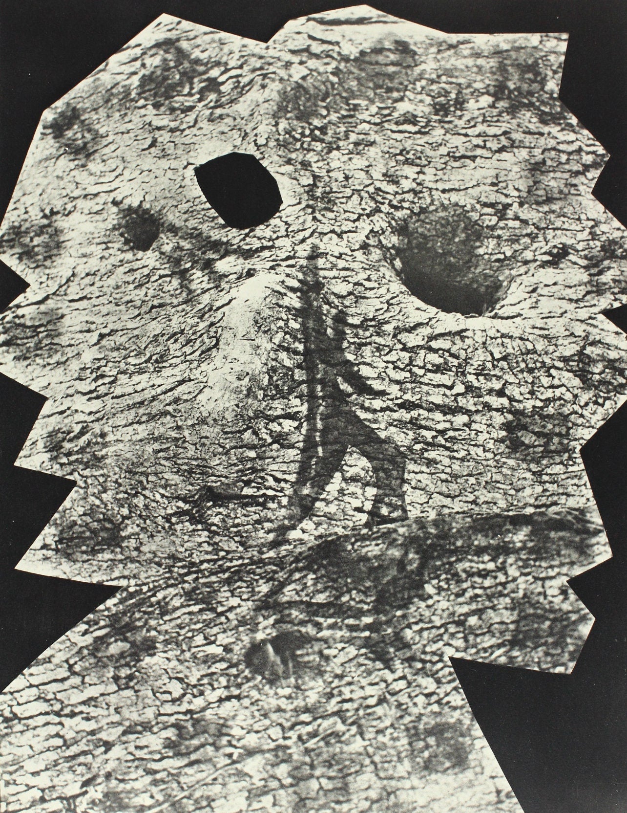 Pablo Picasso, Composition (Bloch 112; Kibbey 1466; Goeppert 115), Diurnes Découpages et Photographies, Limited Edition Phototype