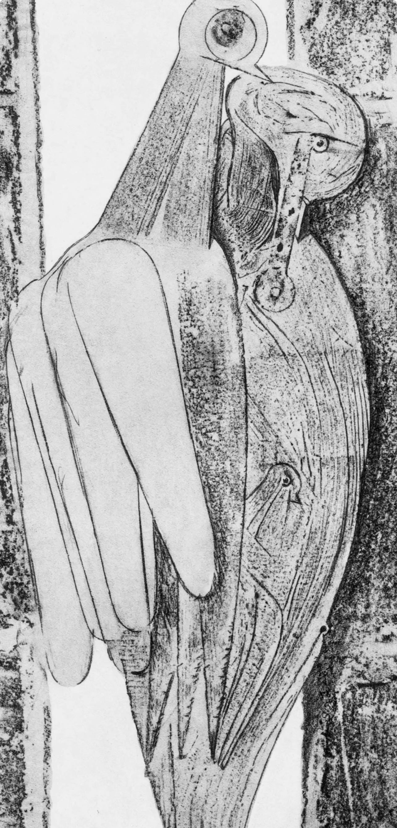 Max Ernst, Composition (Spies/Leppien 222), Histoire Naturelle, Limited Edition Lithograph