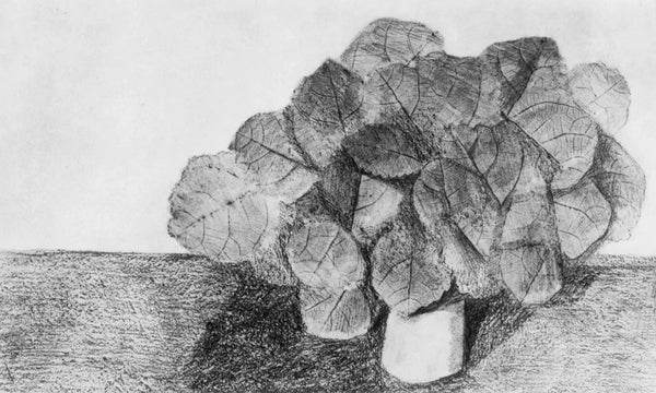 Max Ernst, Composition (Spies/Leppien 222), Histoire Naturelle, Limited Edition Lithograph