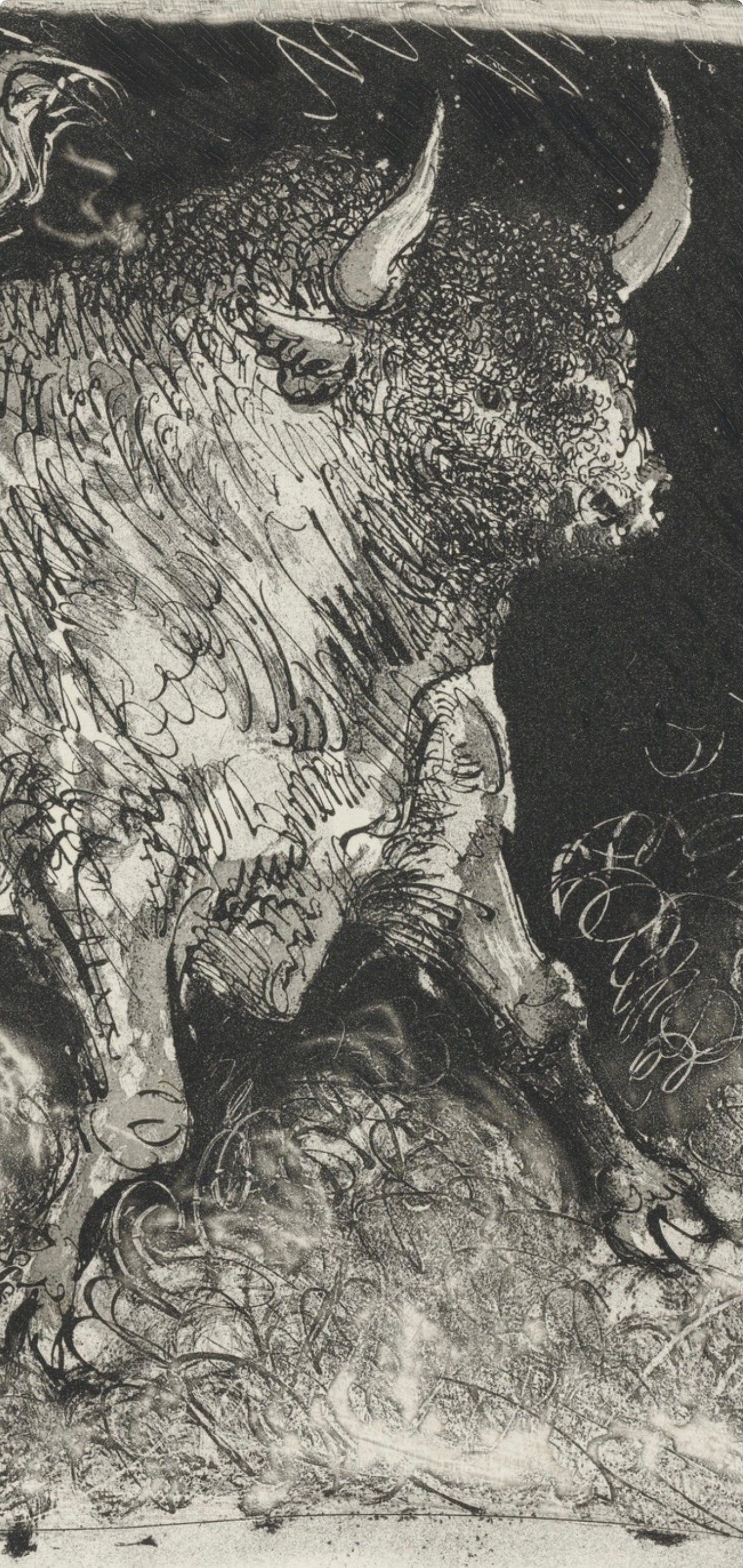 Pablo Picasso, Le Taureau, Histoire naturelle, Limited Edition Lithograph