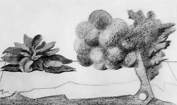 Max Ernst, Composition (Spies/Leppien 222), Histoire Naturelle, Limited Edition Lithograph