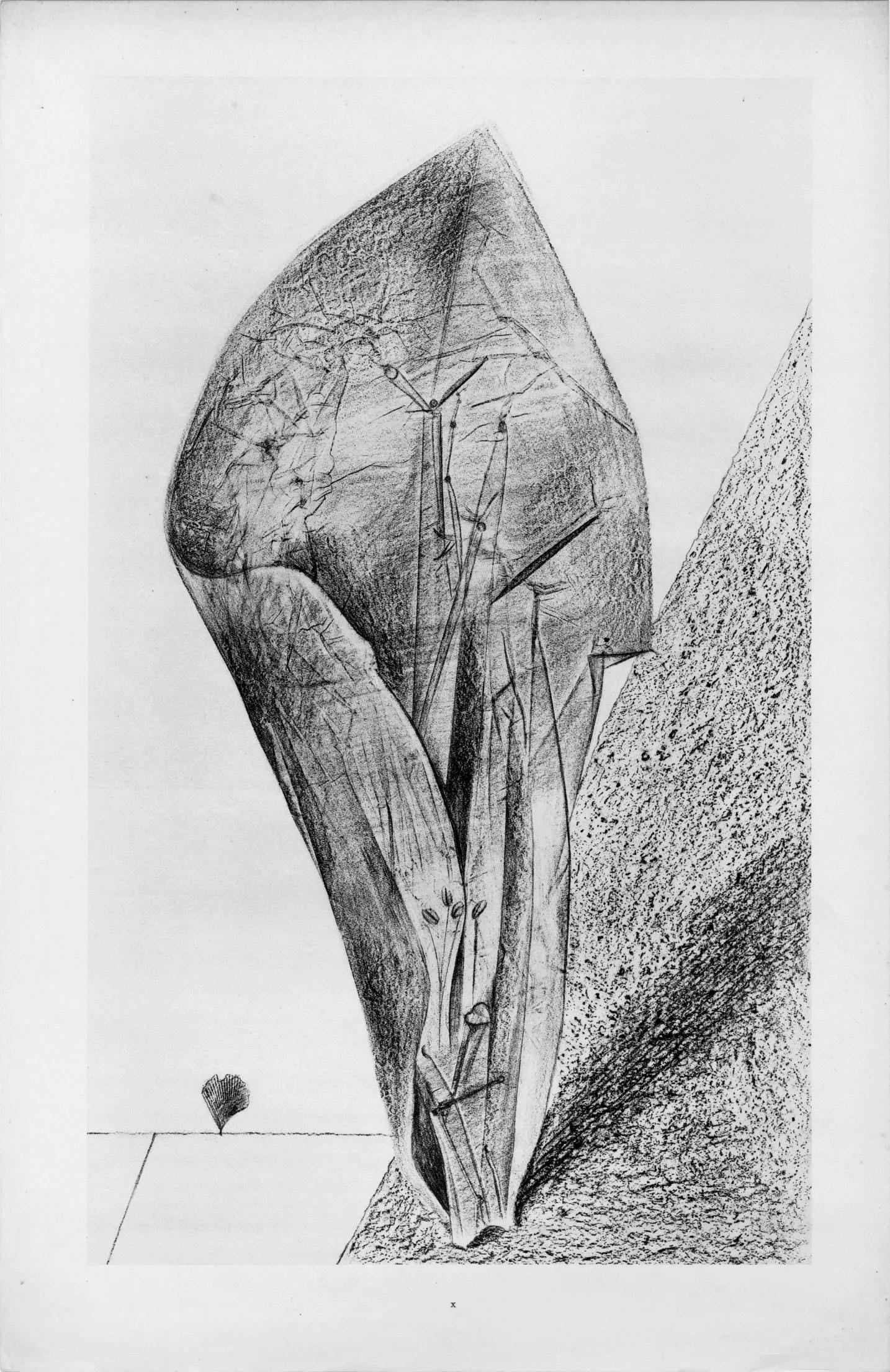 Max Ernst, Composition (Spies/Leppien 222), Histoire Naturelle, Limited Edition Lithograph