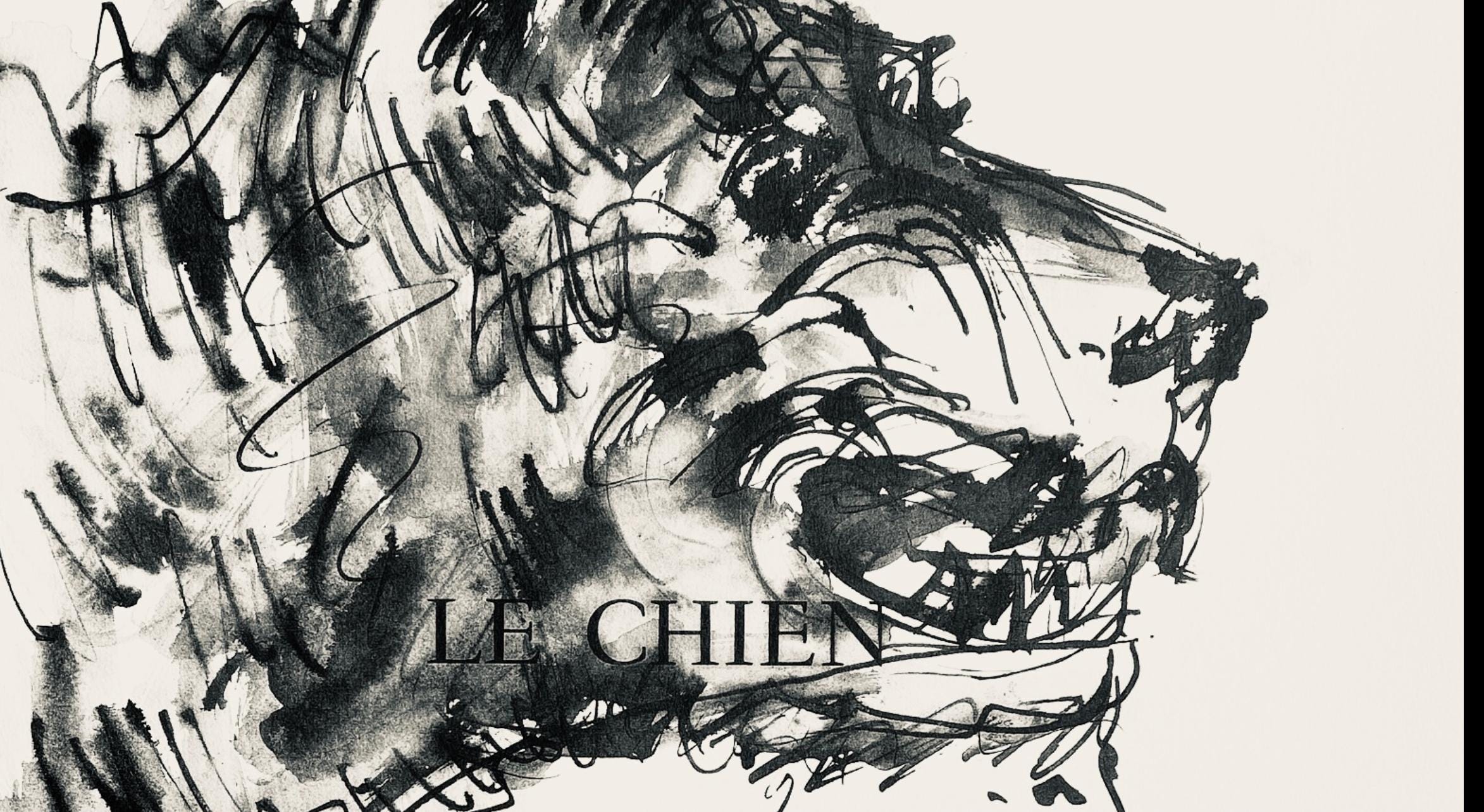 Pablo Picasso, Deux têtes de chiens (Cramer No. 84), 40 dessins de Picasso en marge du Buffon, Limited Edition Lithograph