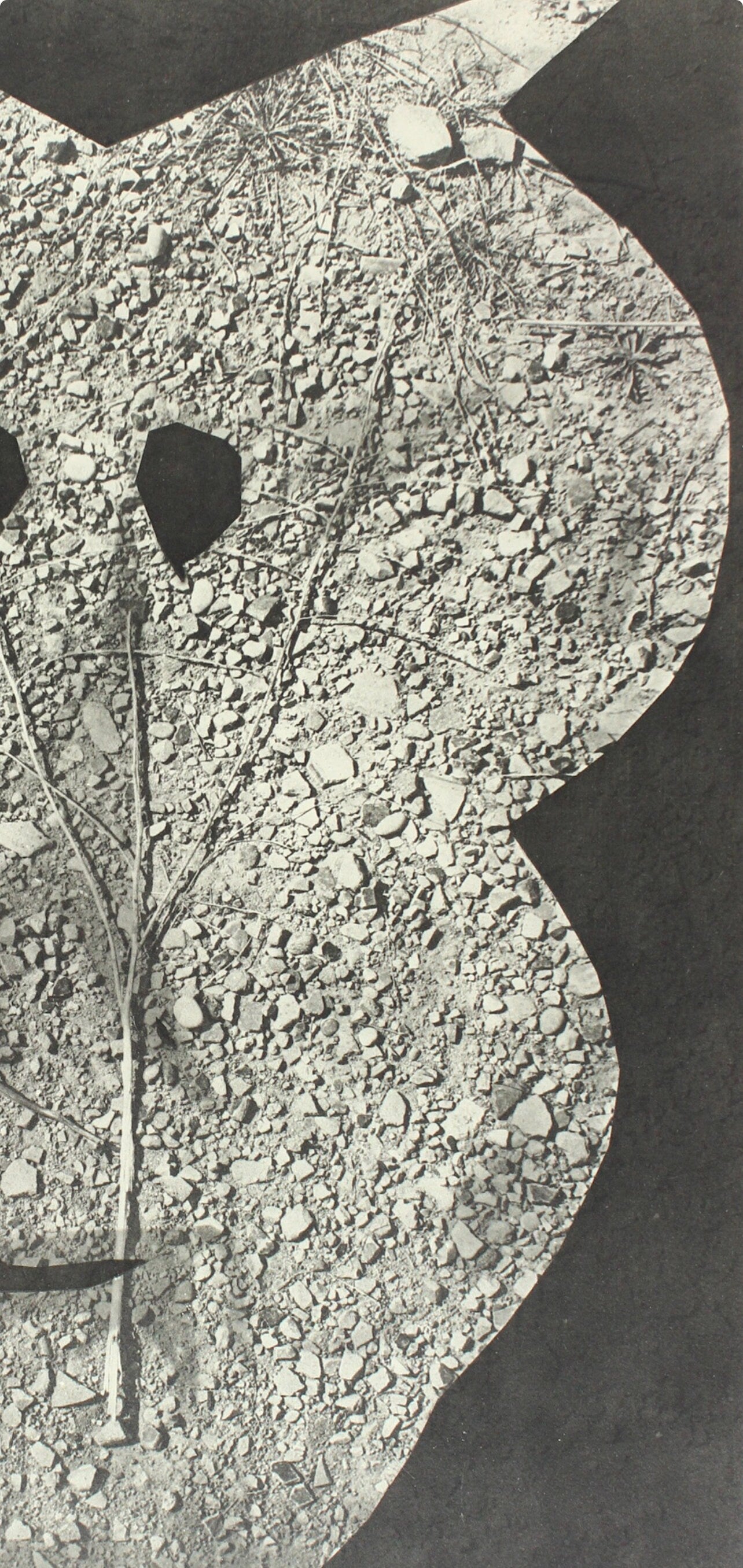Pablo Picasso, Composition (Bloch 112; Kibbey 1466; Goeppert 115), Diurnes Découpages et Photographies, Limited Edition Phototype