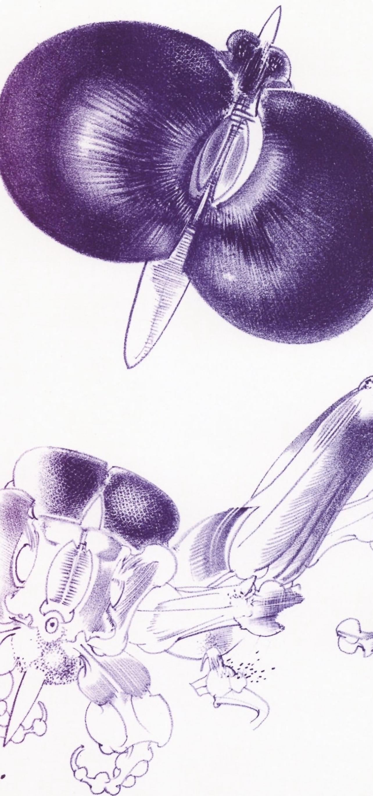 François Lunven, Composition, Variations sur l'imaginaire, Limited Edition Lithograph
