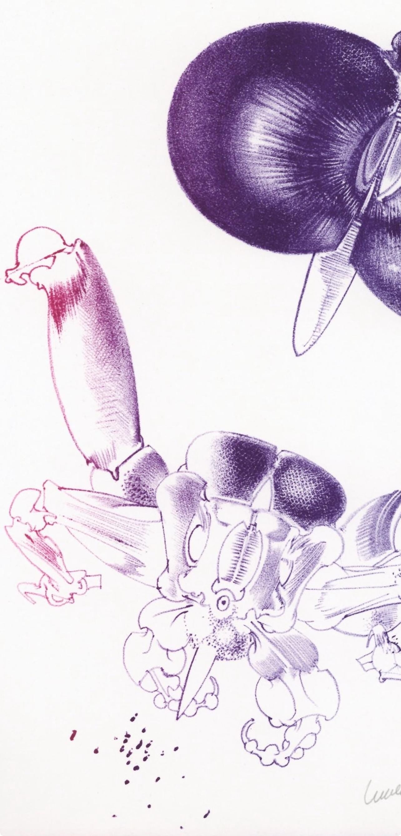 François Lunven, Composition, Variations sur l'imaginaire, Limited Edition Lithograph
