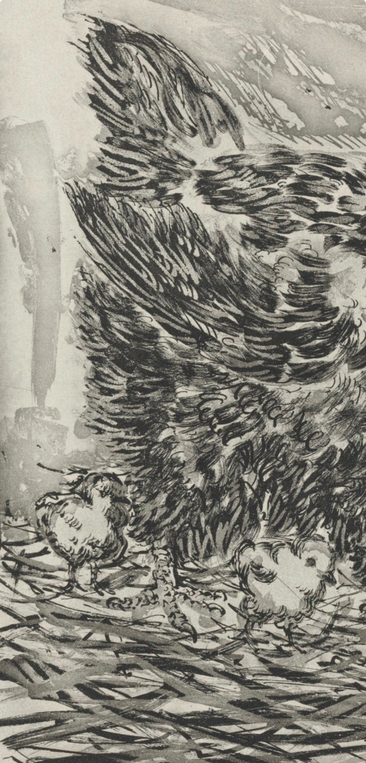 Pablo Picasso, La Mère poule, Histoire naturelle, Limited Edition Lithograph