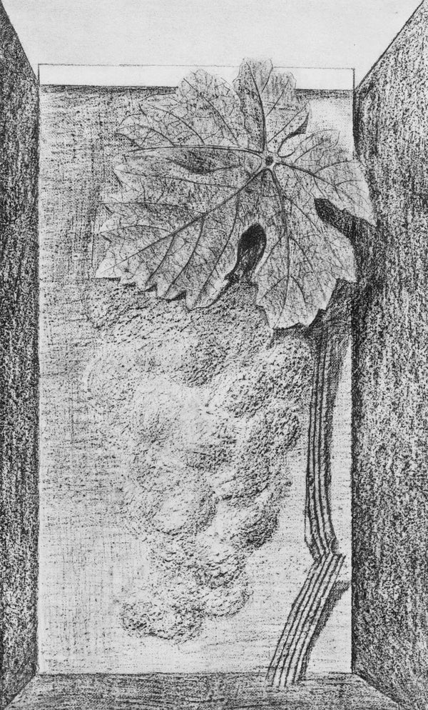 Max Ernst, Composition (Spies/Leppien 222), Histoire Naturelle, Limited Edition Lithograph