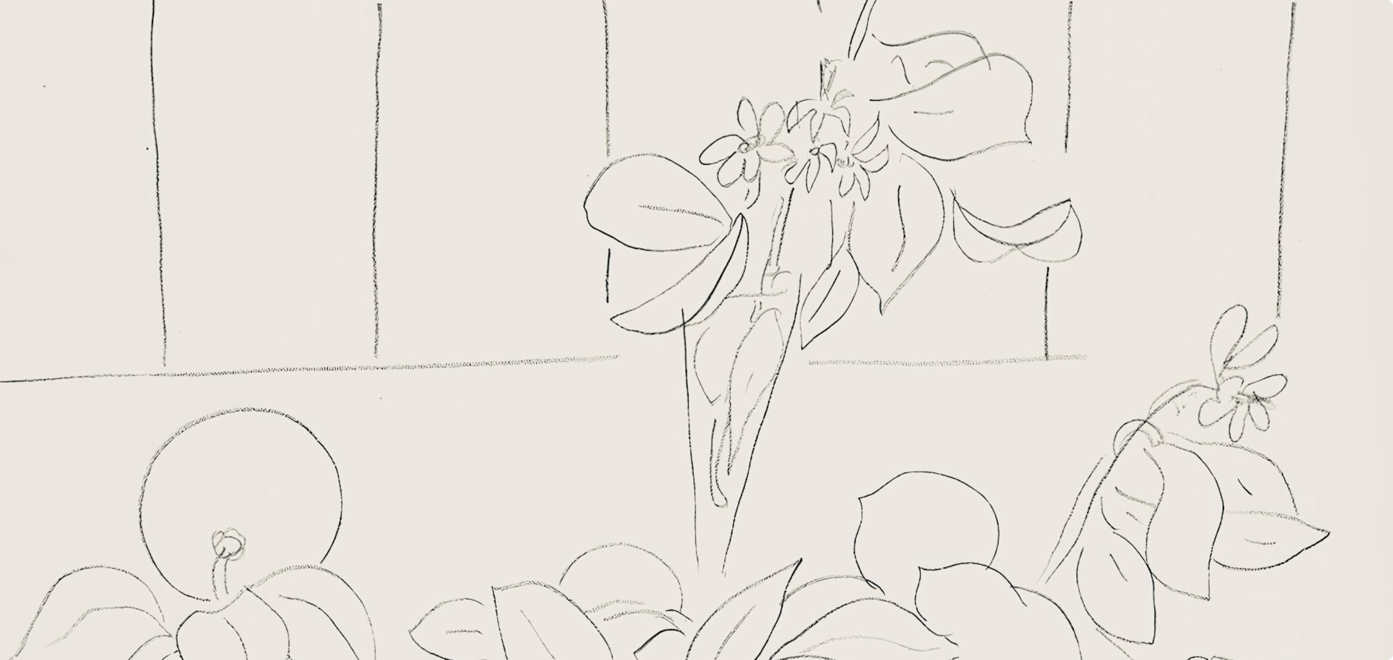 Henri Matisse, Série M, var. 7 (Duthuit 9), Henri Matisse, Dessins, Thèmes et variations, Limited Edition Lithograph