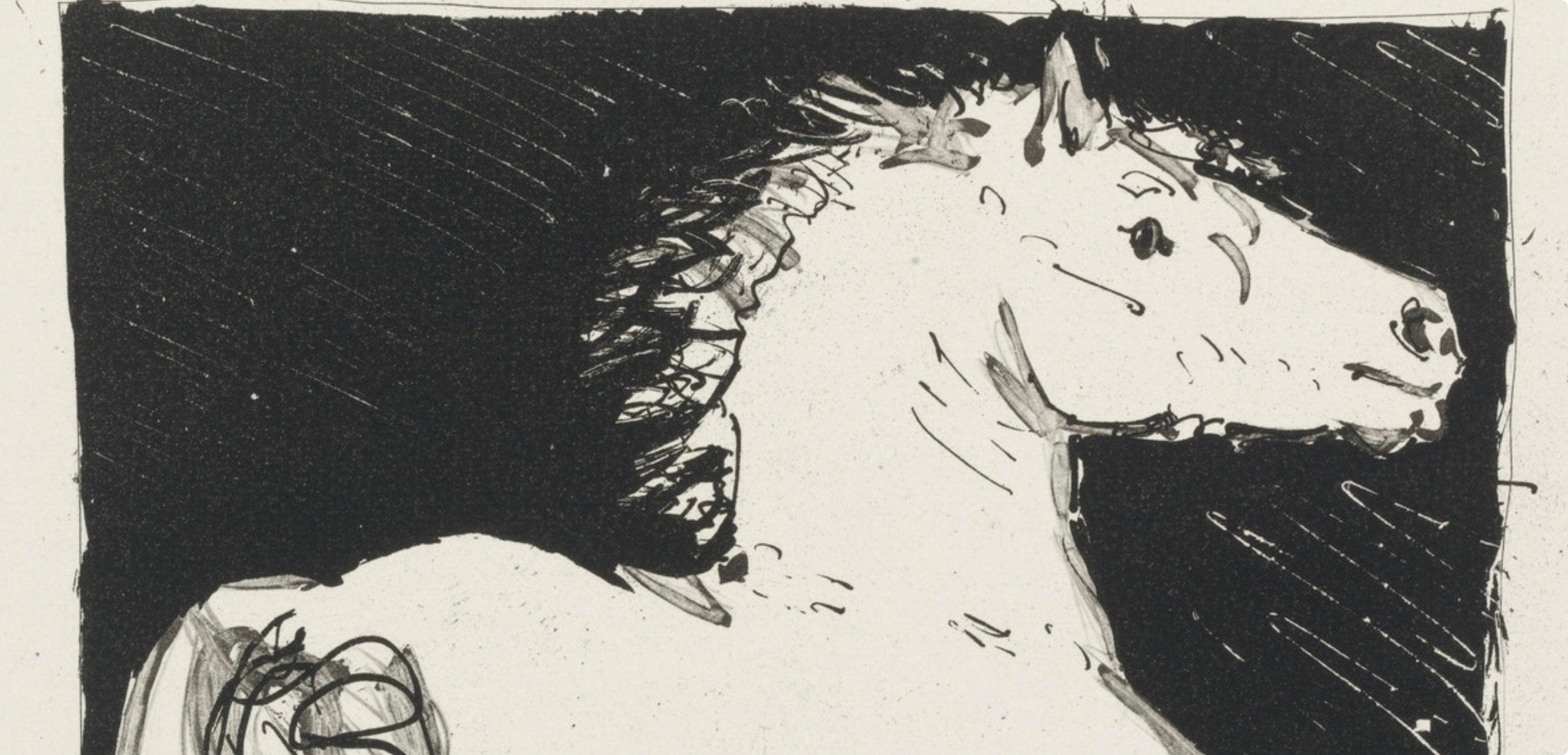 Pablo Picasso, Le Cheval, Histoire naturelle, Limited Edition Lithograph