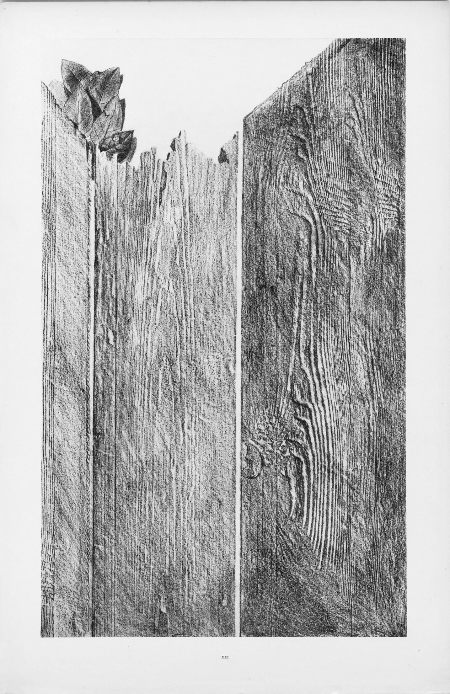 Max Ernst, Composition (Spies/Leppien 222), Histoire Naturelle, Limited Edition Lithograph