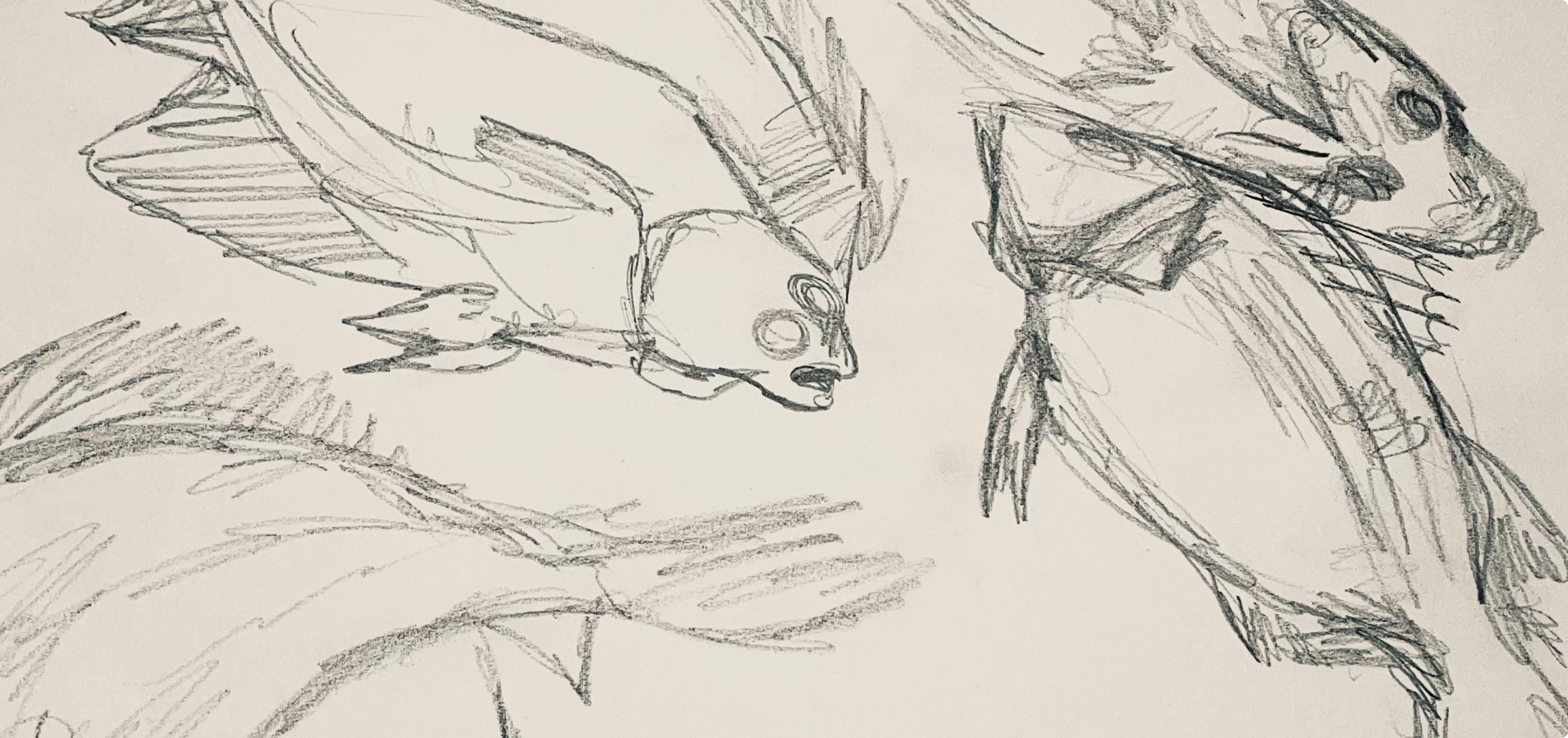 Ian Hornak, Renaissance Fish Study, 1963, Original Drawing