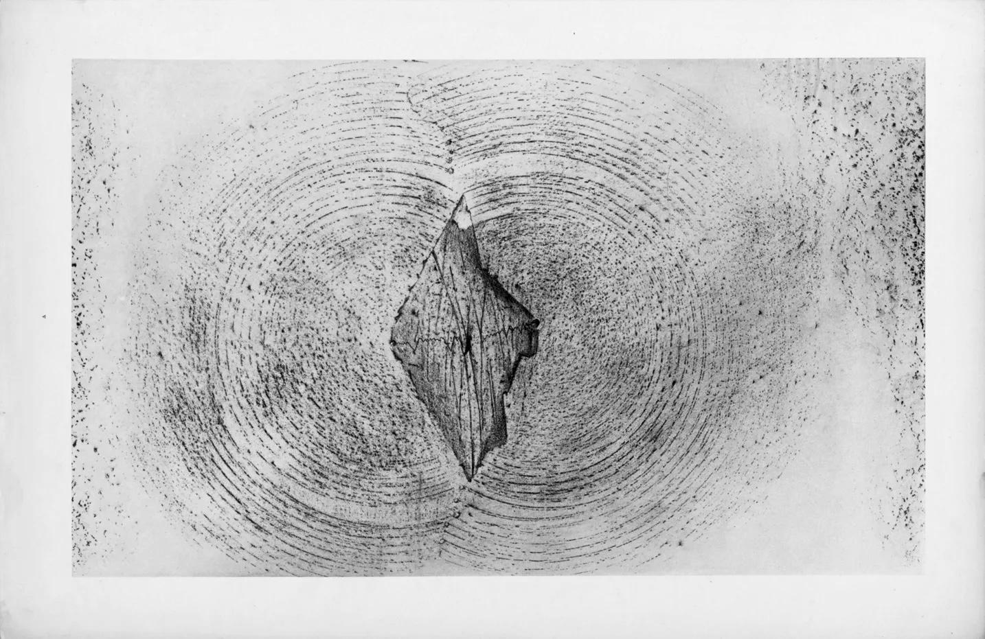Max Ernst, Composition (Spies/Leppien 222), Histoire Naturelle, Limited Edition Lithograph
