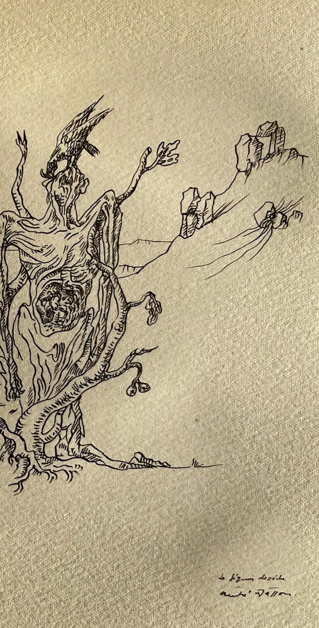 André Masson, Le figuier desséché, Masson Dessins, Limited Edition Lithograph