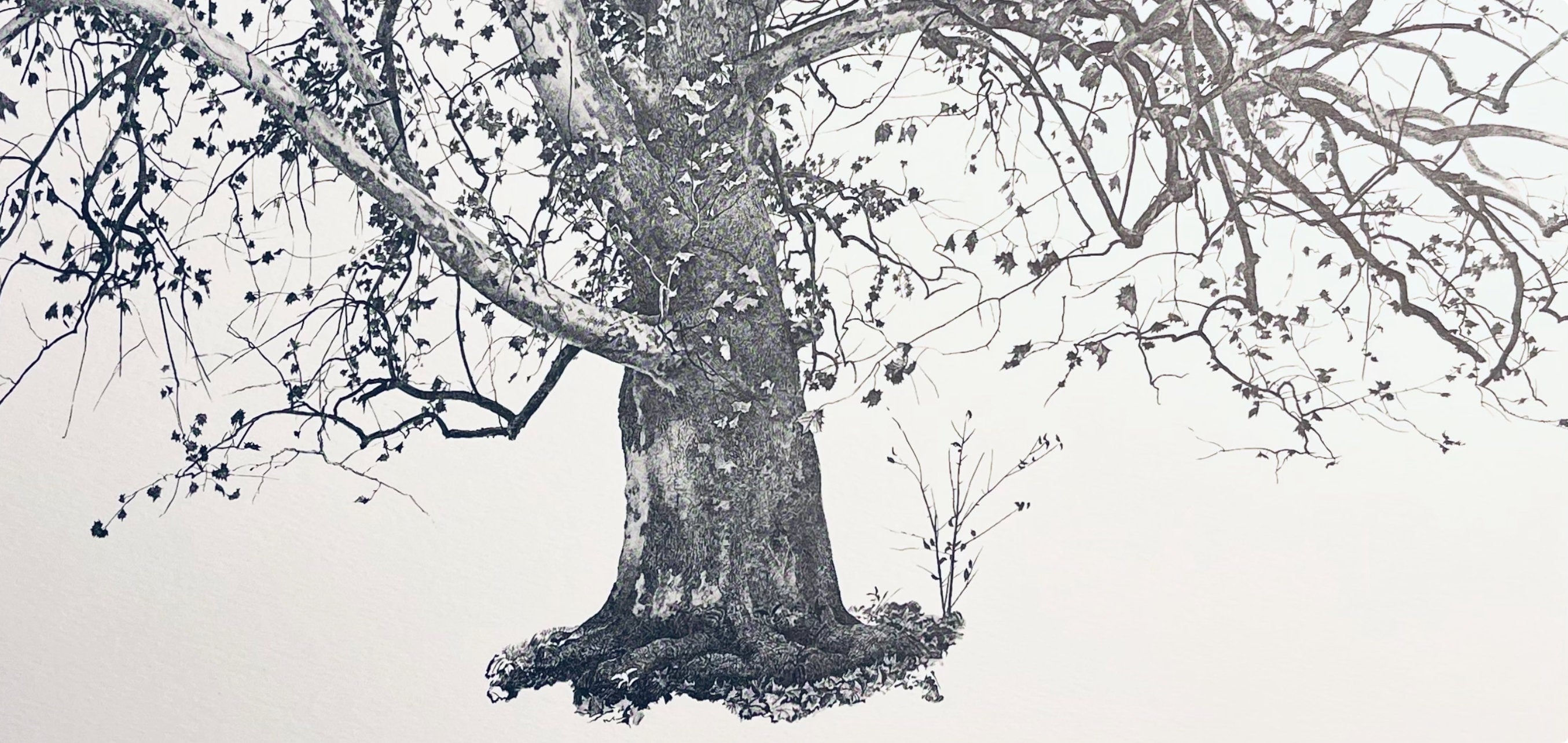 Andrew Wyeth, New Leaves, The Four Seasons, Limited Edition Lithograph