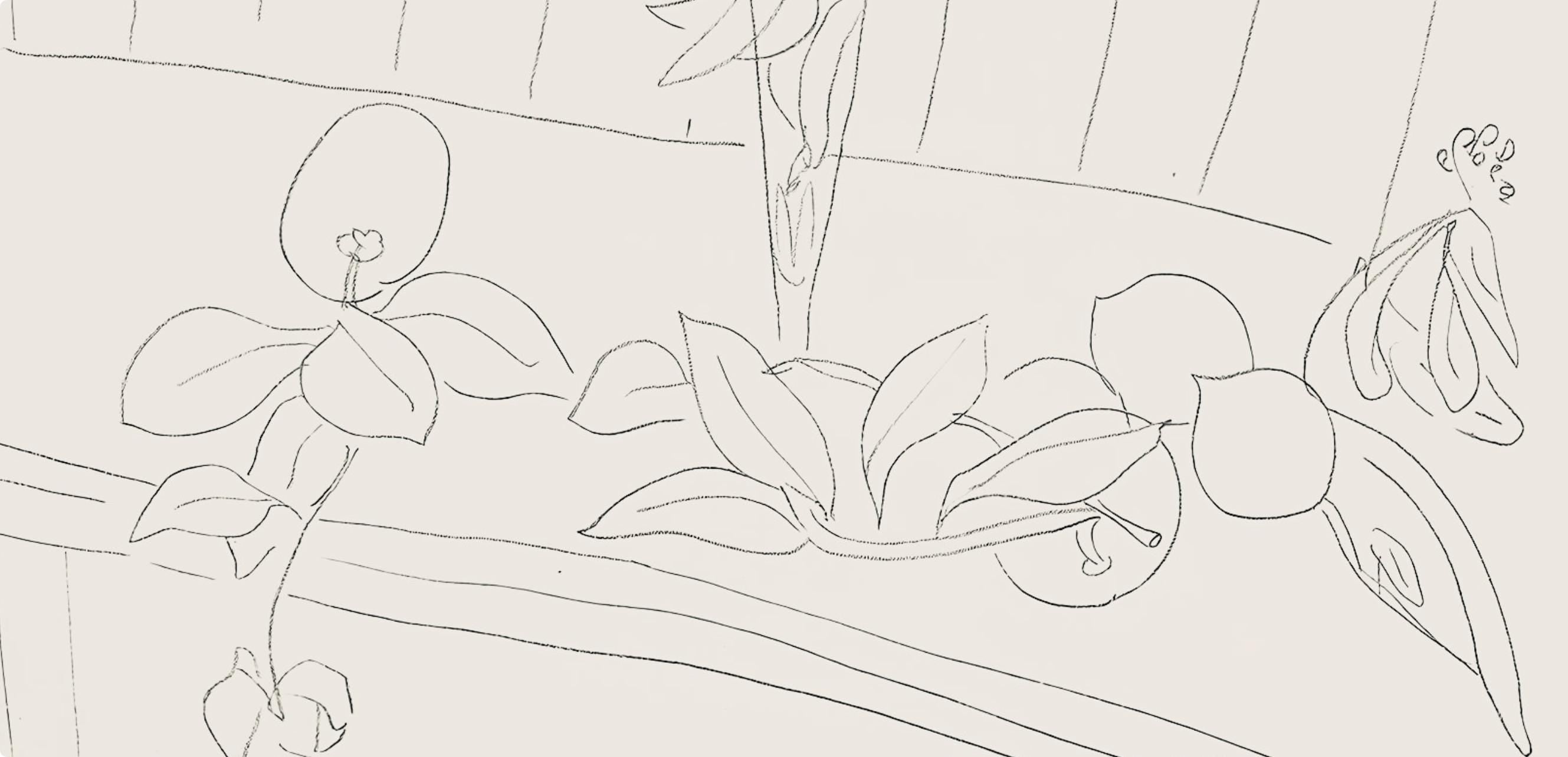 Henri Matisse, Série M, var. 5 (Duthuit 9), Henri Matisse, Dessins, Thèmes et variations, Limited Edition Lithograph