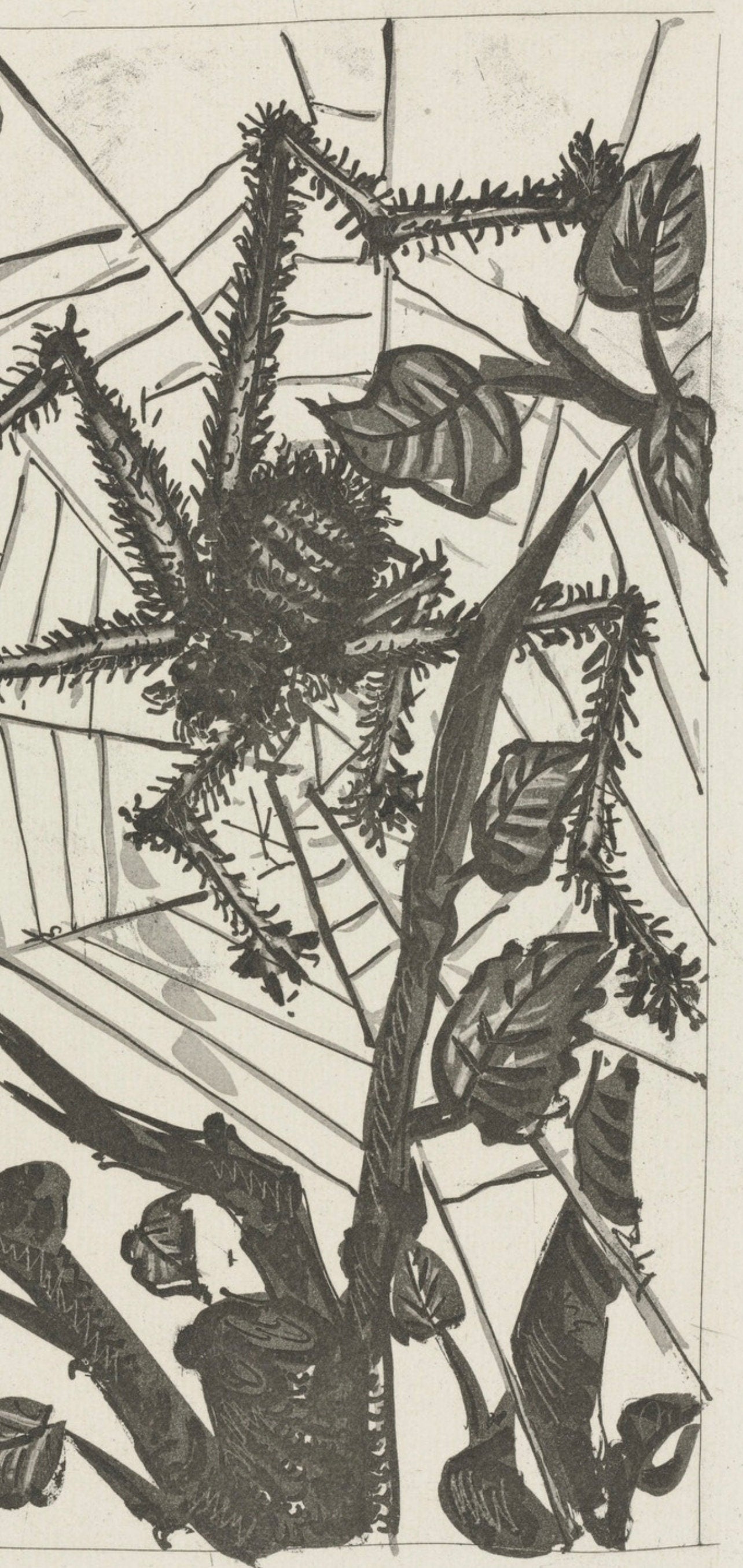 Pablo Picasso, L'Araignée, Histoire naturelle, Limited Edition Lithograph