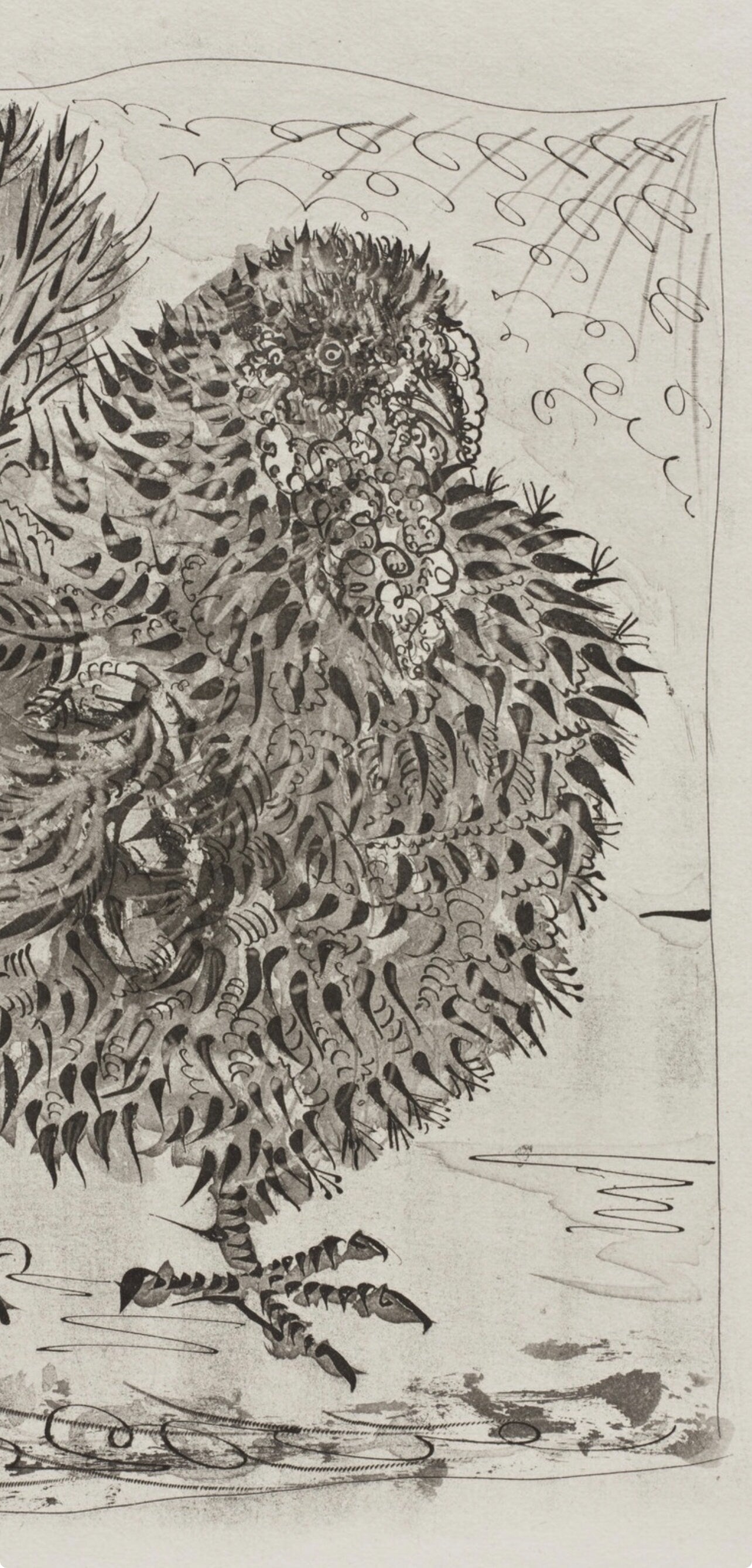 Pablo Picasso, Le Dindon, Histoire naturelle, Limited Edition Lithograph