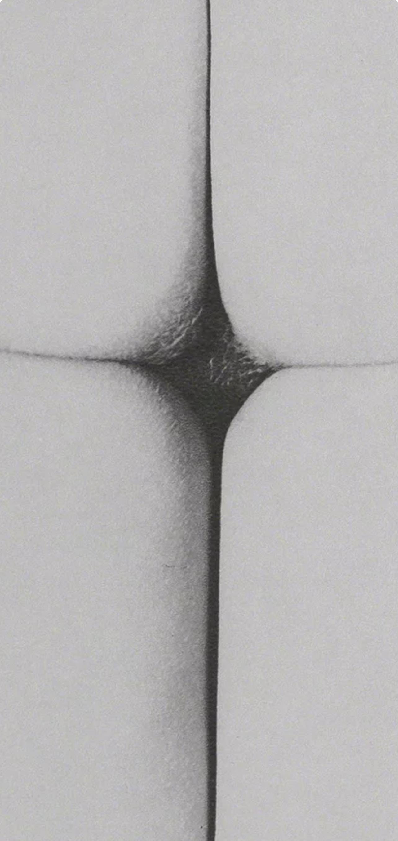 Erwin Blumenfeld, Composition, Erwin Blumenfeld, Electa Editrice Portfolios, Limited Edition Héliogravure
