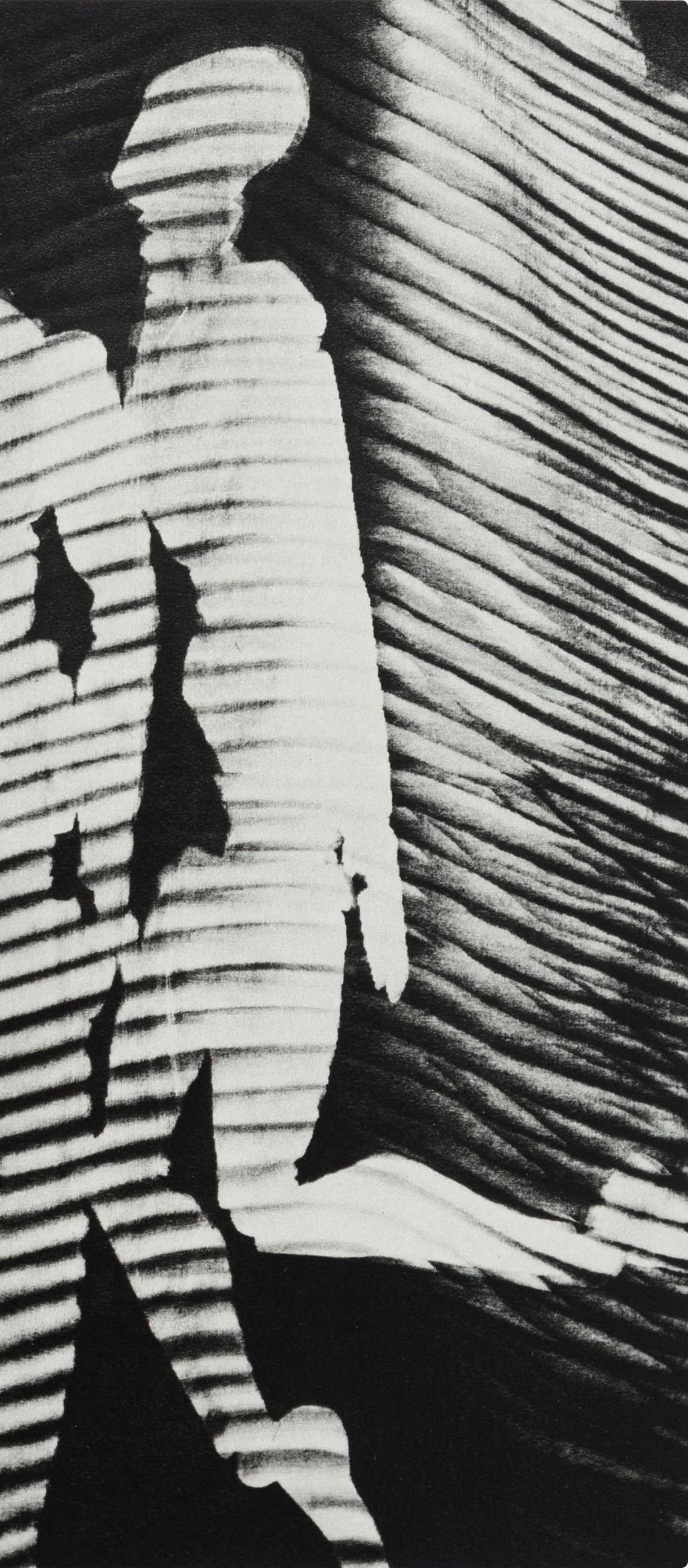 Man Ray, Composition, Man Ray, Electa Editrice Portfolios, Limited Edition Héliogravure