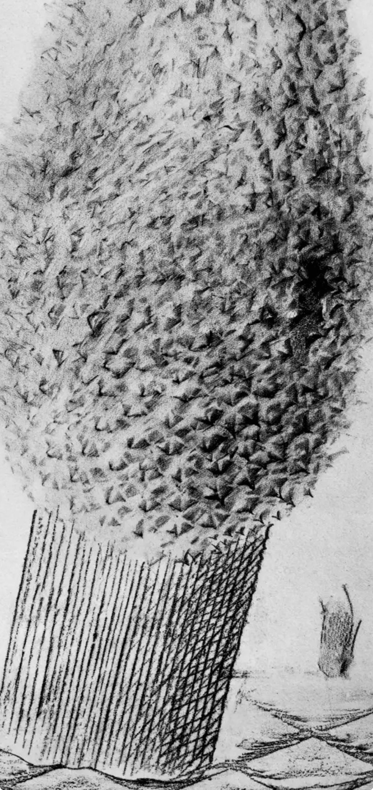 Max Ernst, Composition (Spies/Leppien 222), Histoire Naturelle, Limited Edition Lithograph