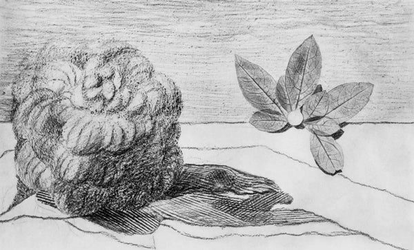 Max Ernst, Composition (Spies/Leppien 222), Histoire Naturelle, Limited Edition Lithograph