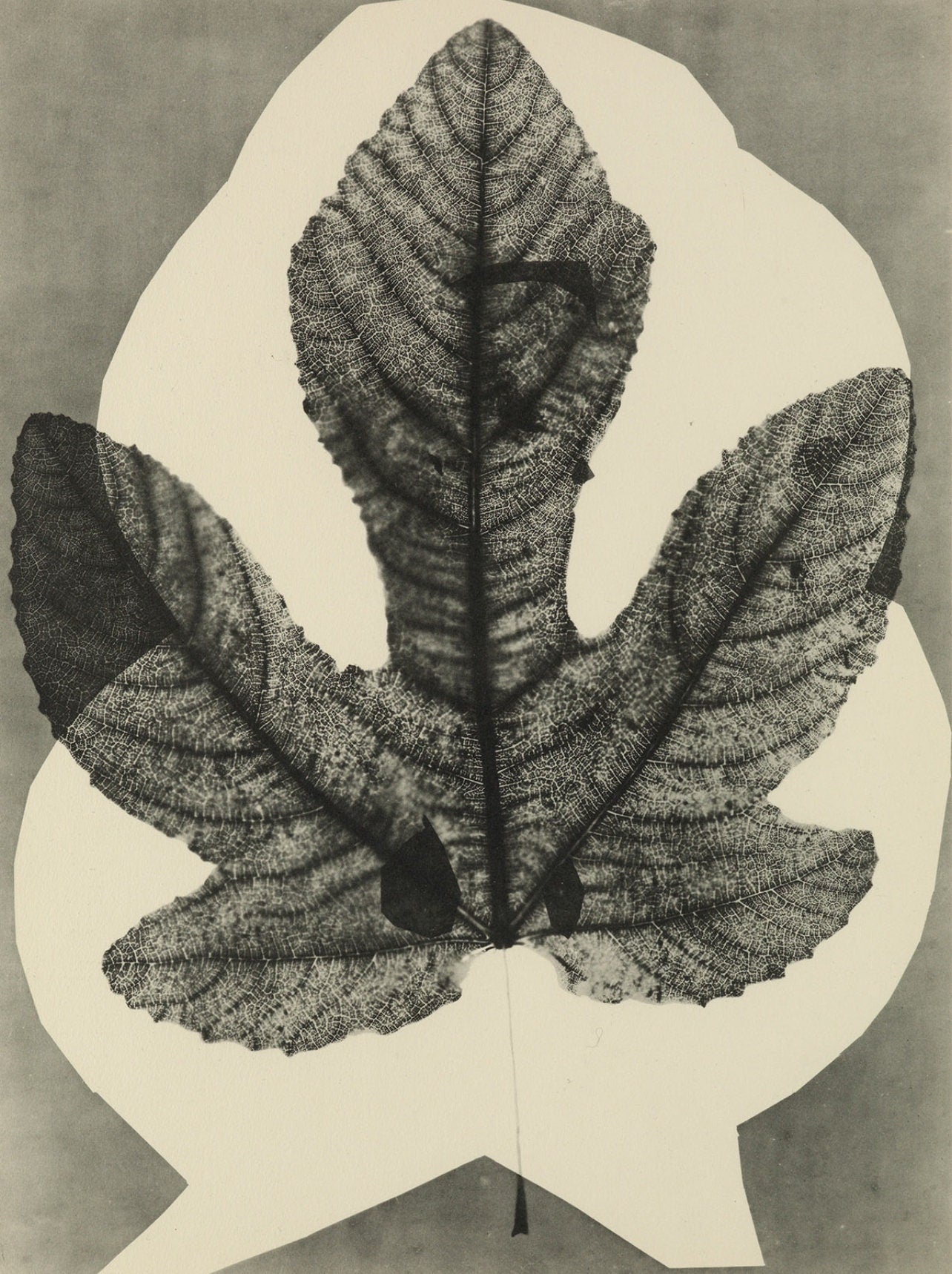 Pablo Picasso, Composition (Bloch 112; Kibbey 1466; Goeppert 115), Diurnes Découpages et Photographies, Limited Edition Phototype