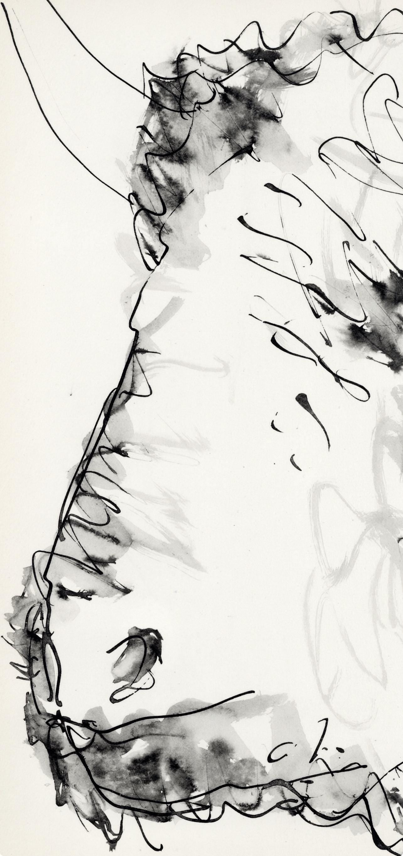 Pablo Picasso, Le taureau (Cramer No. 84), 40 dessins de Picasso en marge du Buffon, Limited Edition Lithograph