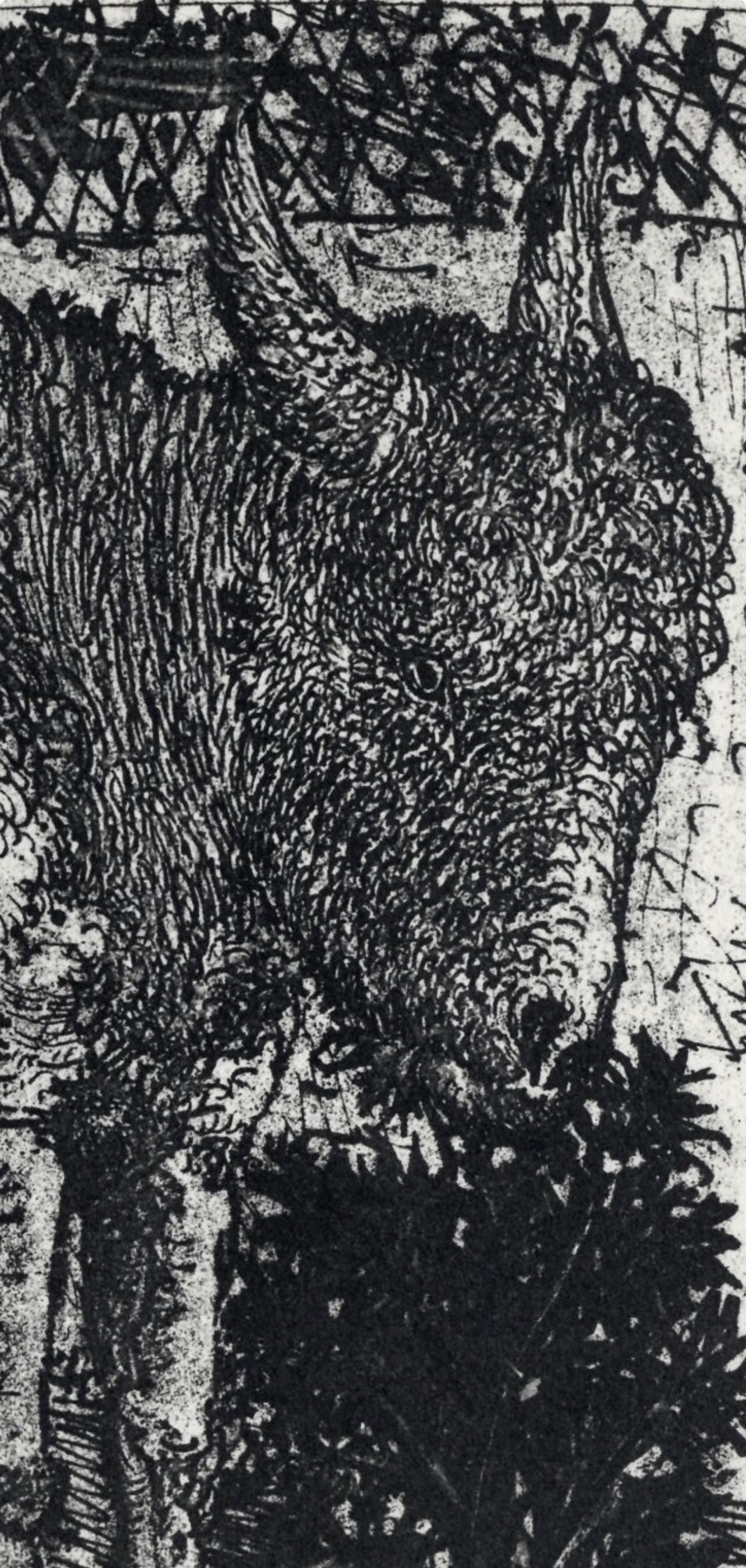 Pablo Picasso, Anes, sur une planche gravée (Cramer No. 84), 40 dessins de Picasso en marge du Buffon, Limited Edition Lithograph