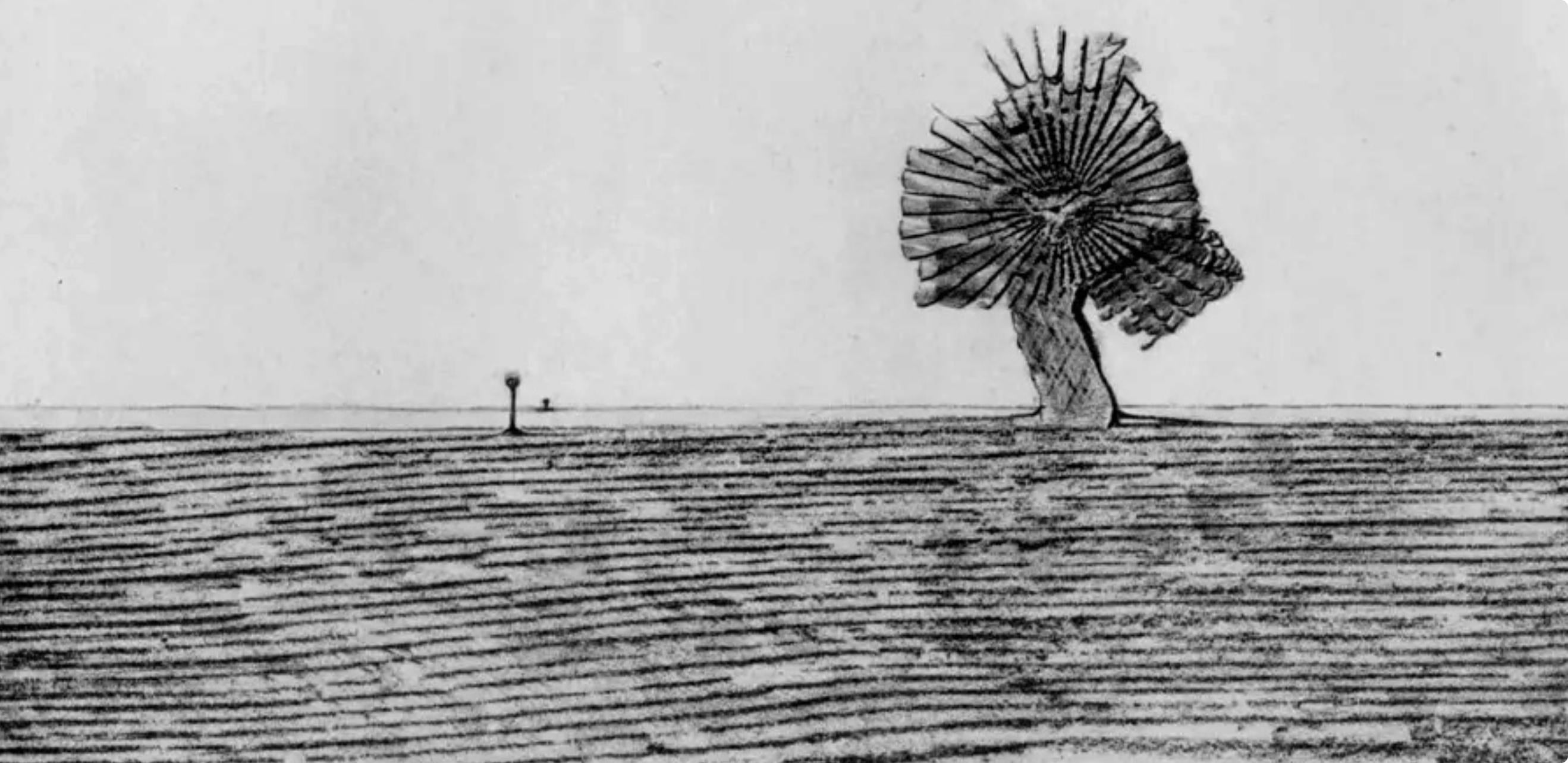 Max Ernst, Composition (Spies/Leppien 222), Histoire Naturelle, Limited Edition Lithograph