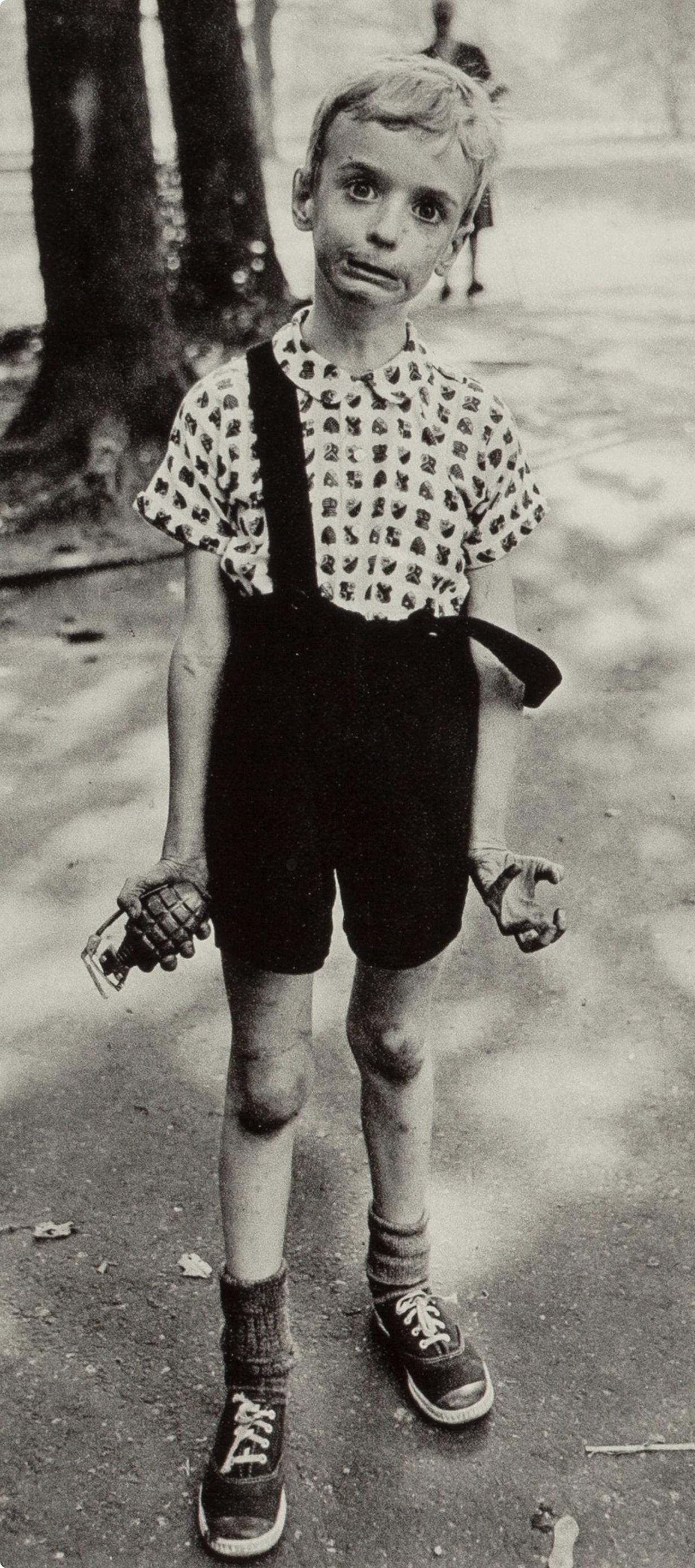 Diane Arbus, Composition, Diane Arbus, Electa Editrice Portfolios, Limited Edition Héliogravure