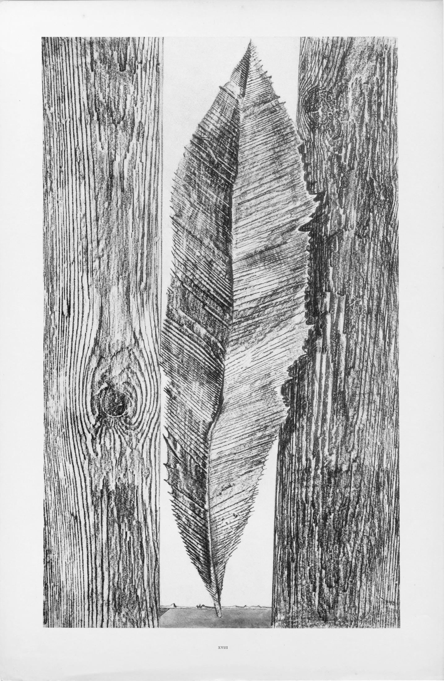 Max Ernst, Composition (Spies/Leppien 222), Histoire Naturelle, Limited Edition Lithograph