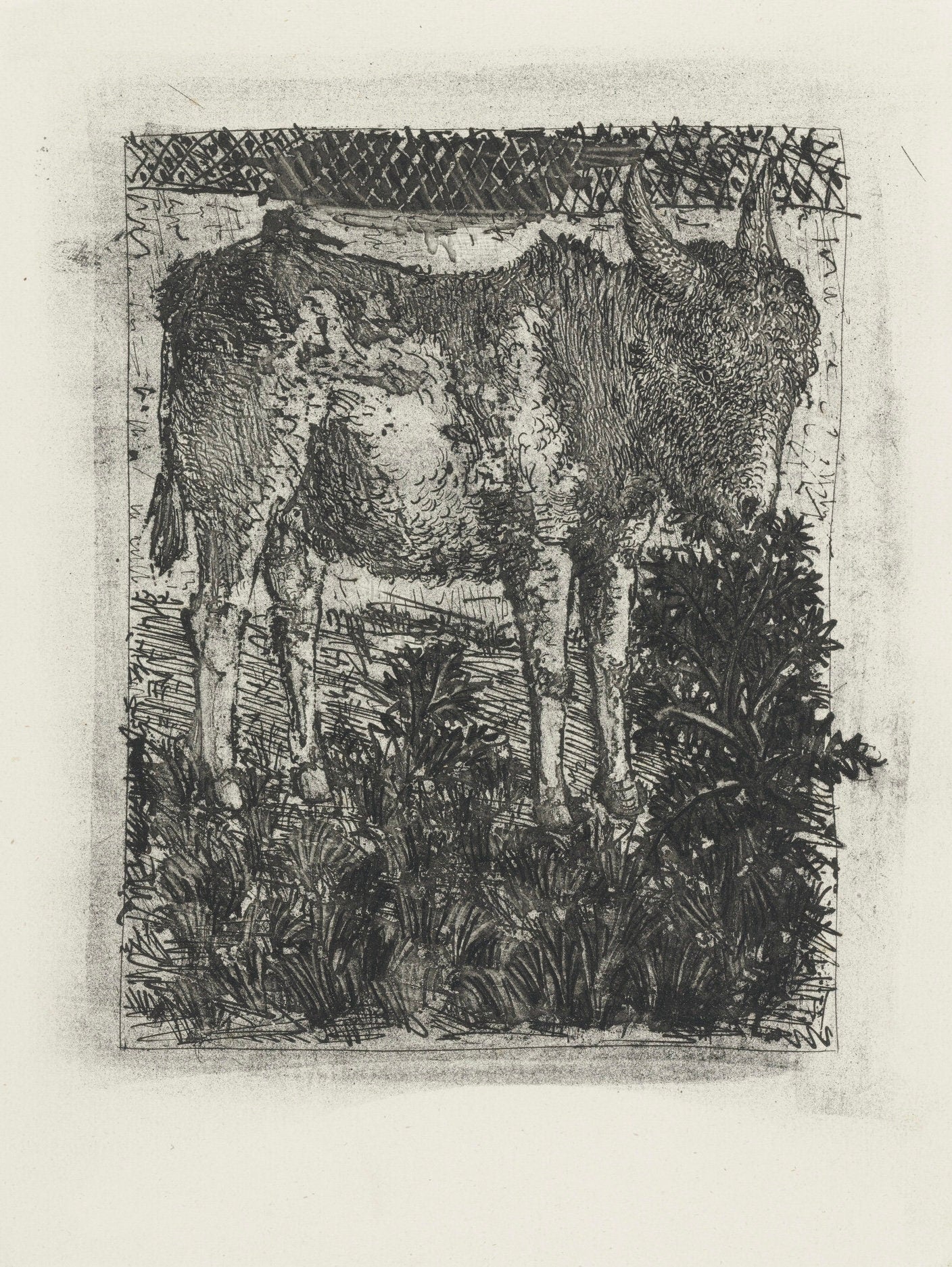 Pablo Picasso, L'Âne, Histoire naturelle, Limited Edition Lithograph