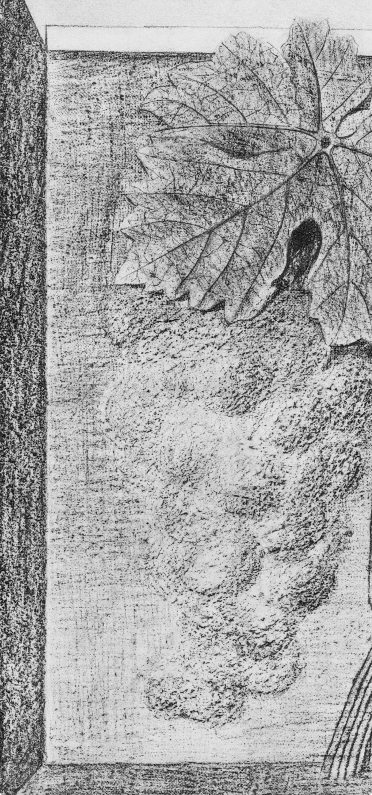 Max Ernst, Composition (Spies/Leppien 222), Histoire Naturelle, Limited Edition Lithograph