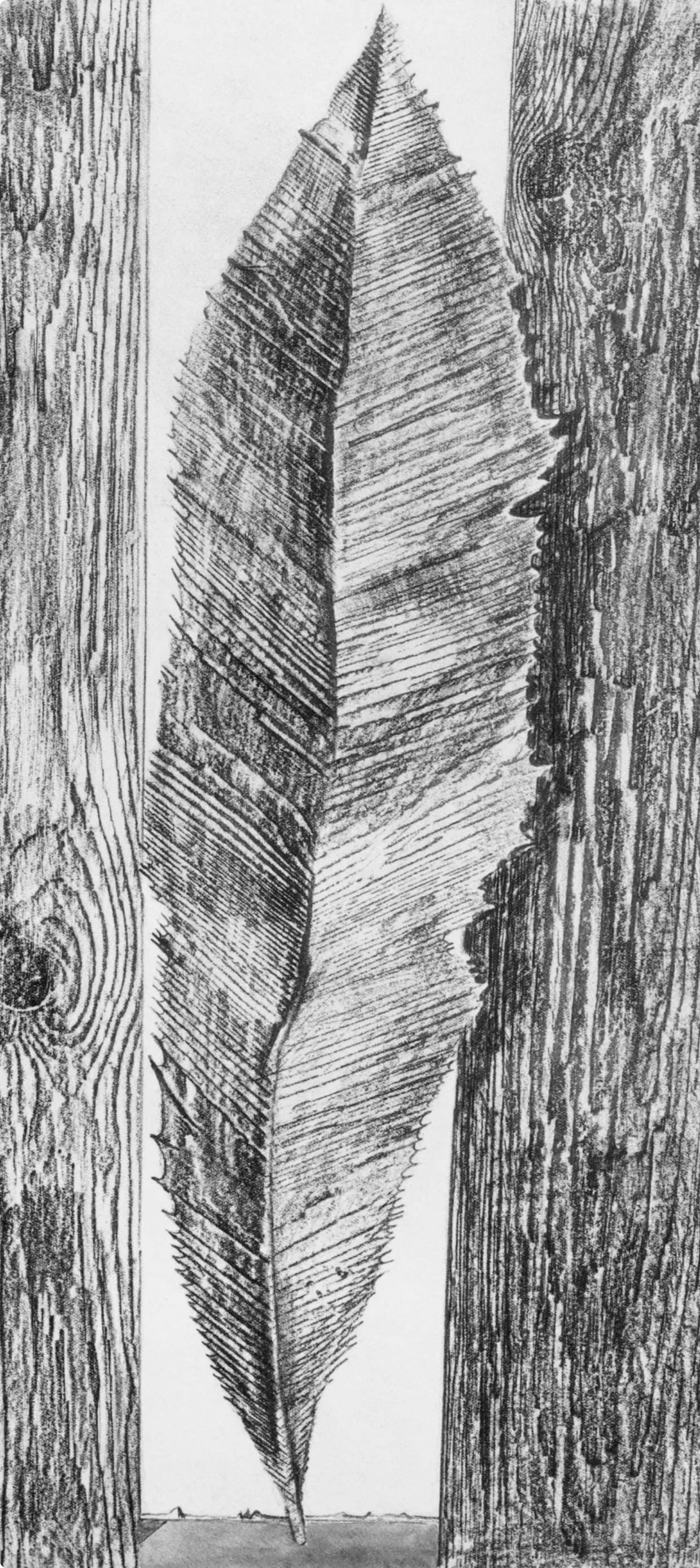 Max Ernst, Composition (Spies/Leppien 222), Histoire Naturelle, Limited Edition Lithograph