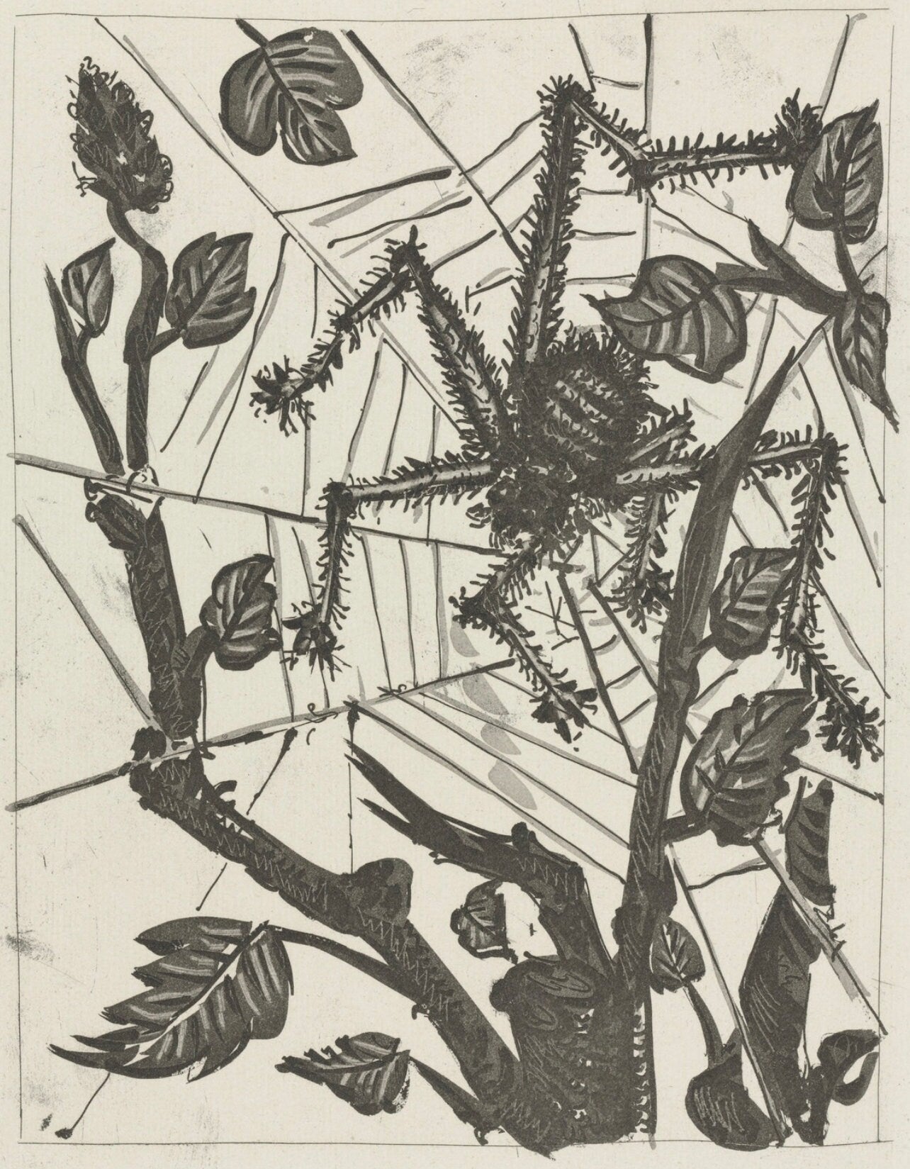 Pablo Picasso, L'Araignée, Histoire naturelle, Limited Edition Lithograph