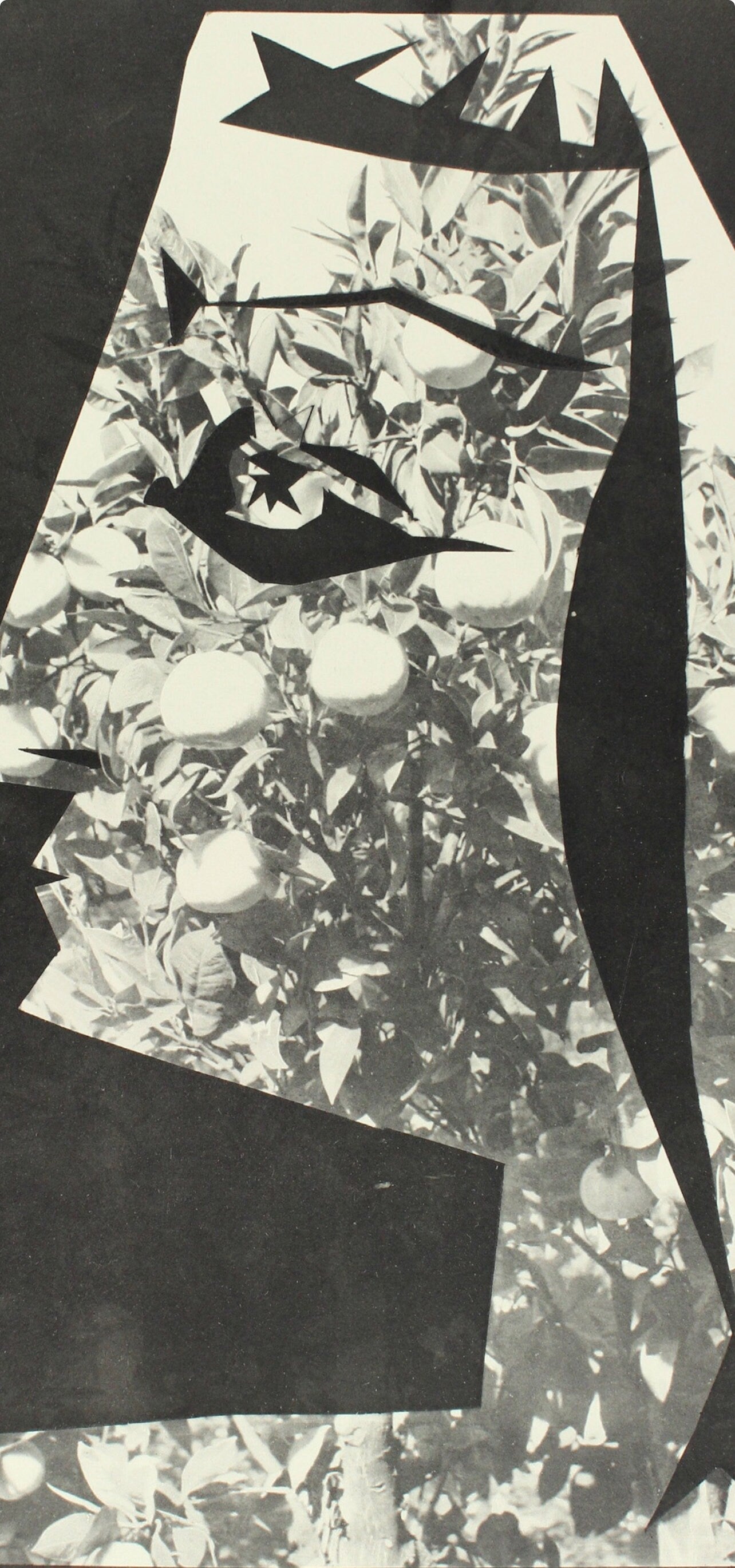 Pablo Picasso, Composition (Bloch 112; Kibbey 1466; Goeppert 115), Diurnes Découpages et Photographies, Limited Edition Phototype