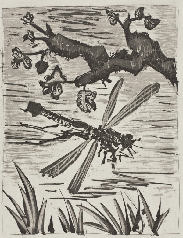 Pablo Picasso, La Libellule, Histoire naturelle, Limited Edition Lithograph