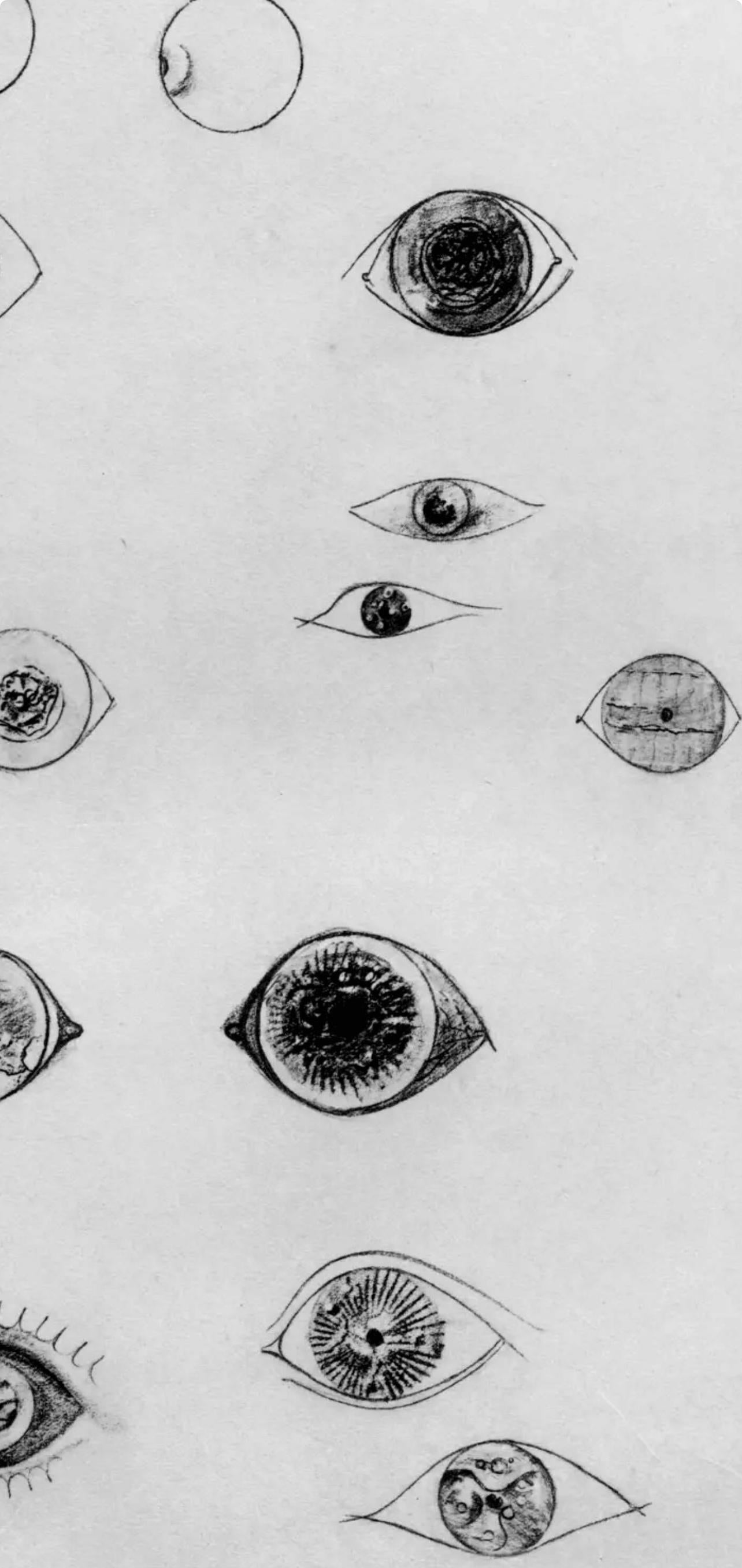 Max Ernst, Composition (Spies/Leppien 222), Histoire Naturelle, Limited Edition Lithograph