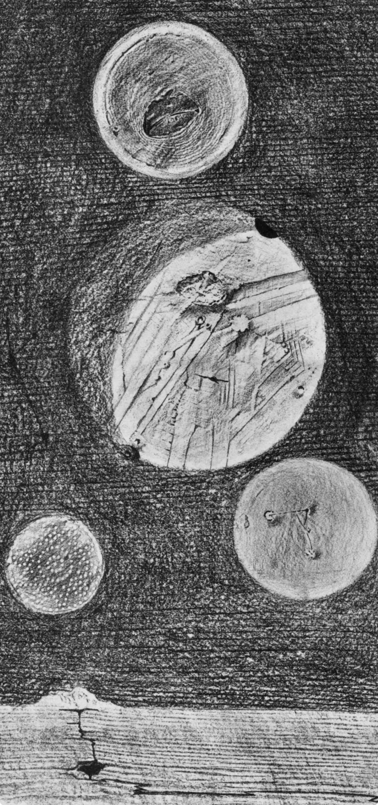 Max Ernst, Composition (Spies/Leppien 222), Histoire Naturelle, Limited Edition Lithograph
