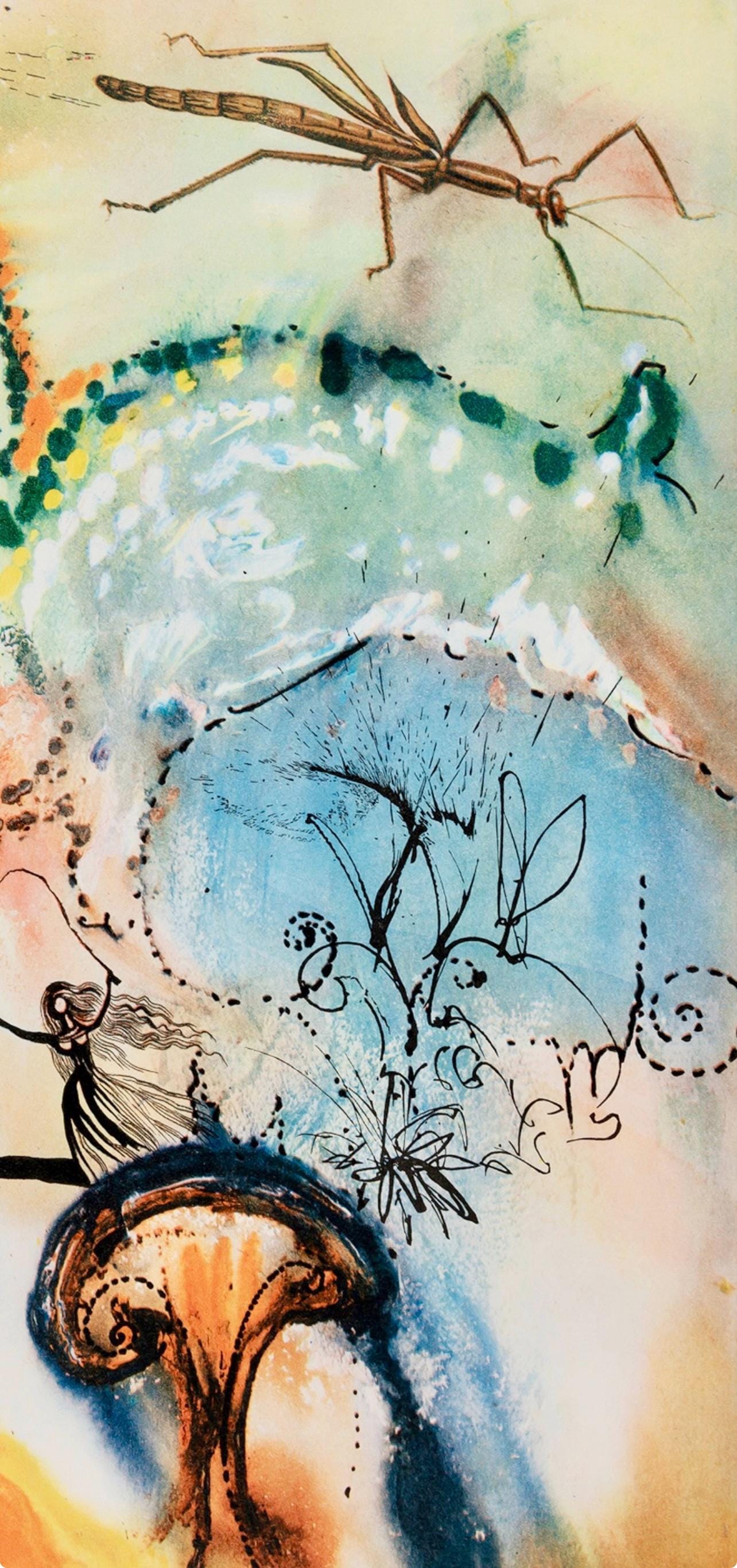 Salvador Dalí, Composition (Field 69-5, A-M), Alice's Adventures in Wonderland, Limited Edition Héliogravure