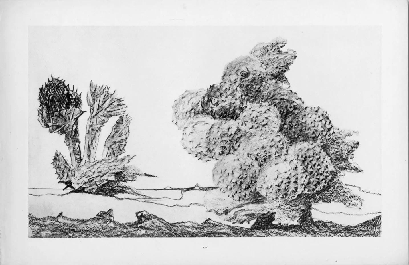 Max Ernst, Composition (Spies/Leppien 222), Histoire Naturelle, Limited Edition Lithograph