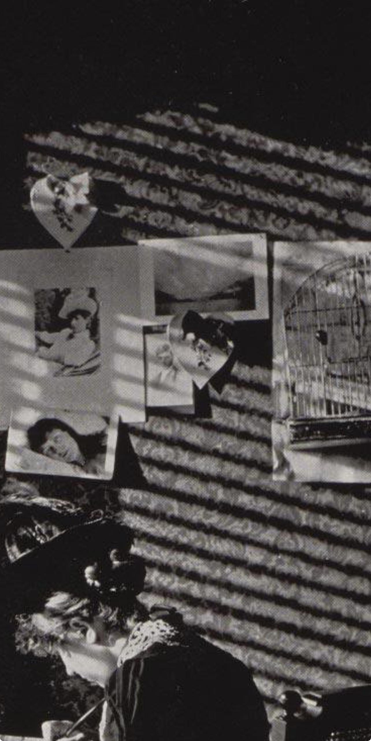 Alfred Stieglitz, Sunlight and Shadows, Alfred Stieglitz Memorial Portfolio 1864-1946, Limited Edition Halftone Photograph