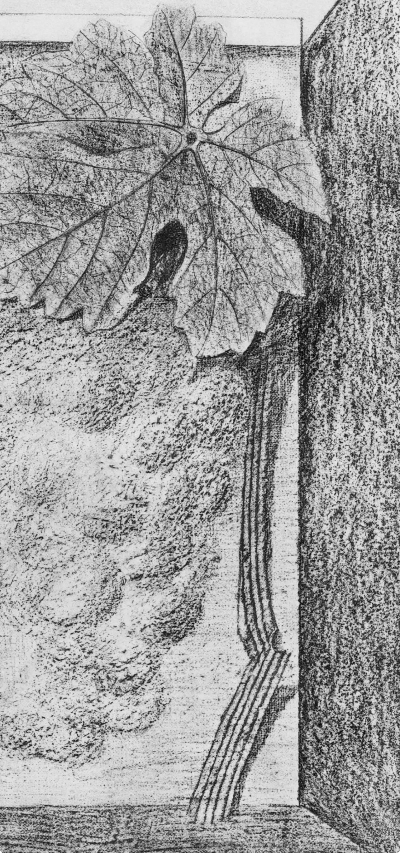 Max Ernst, Composition (Spies/Leppien 222), Histoire Naturelle, Limited Edition Lithograph